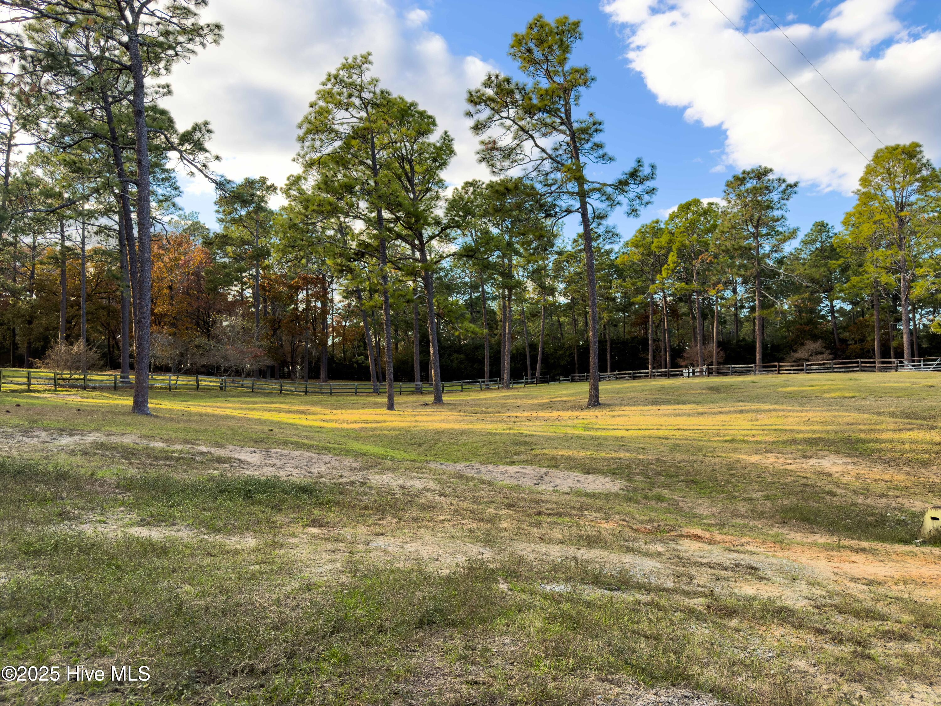 292 Bump A Long Lane