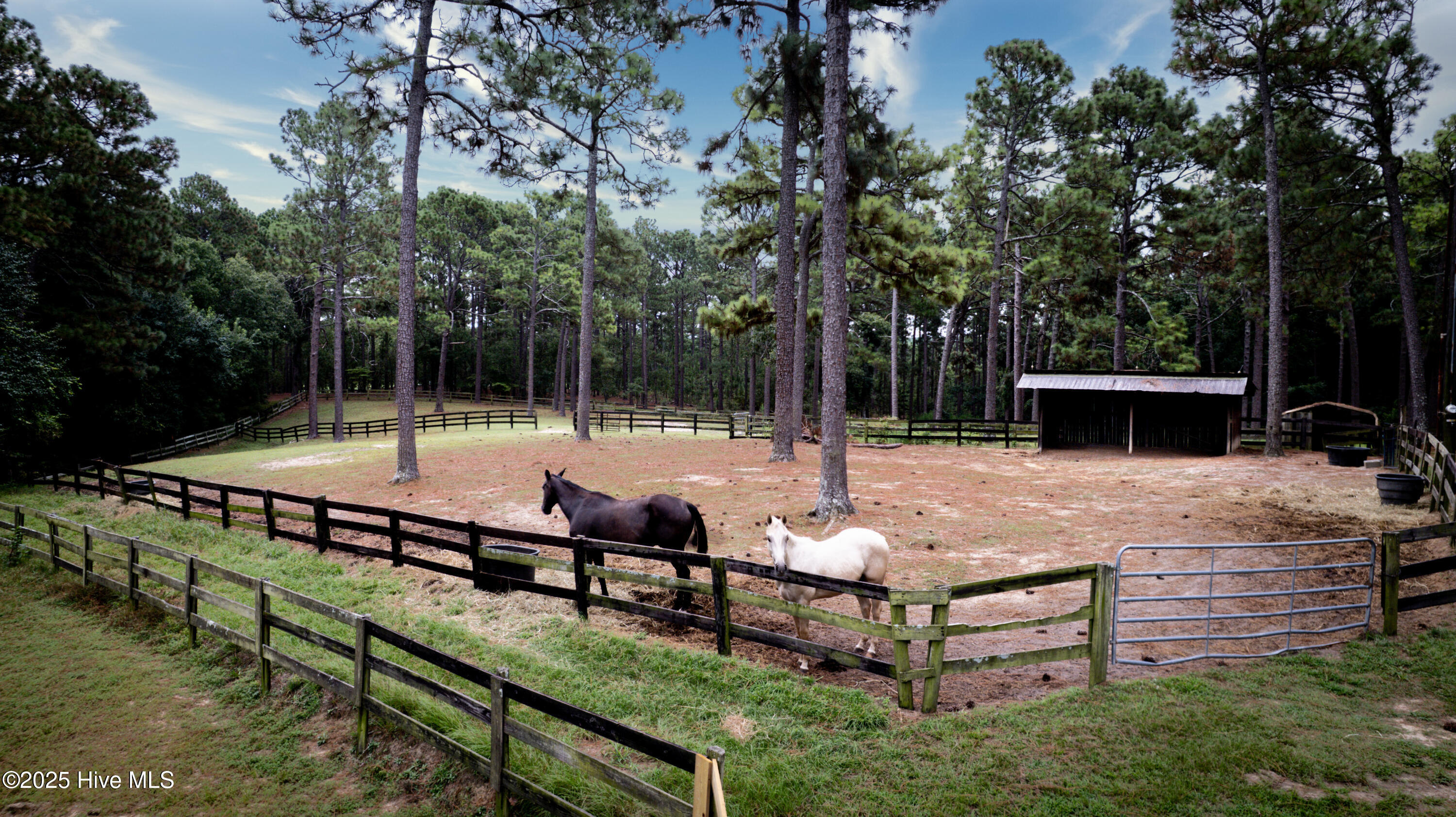 292 Bump A Long Lane