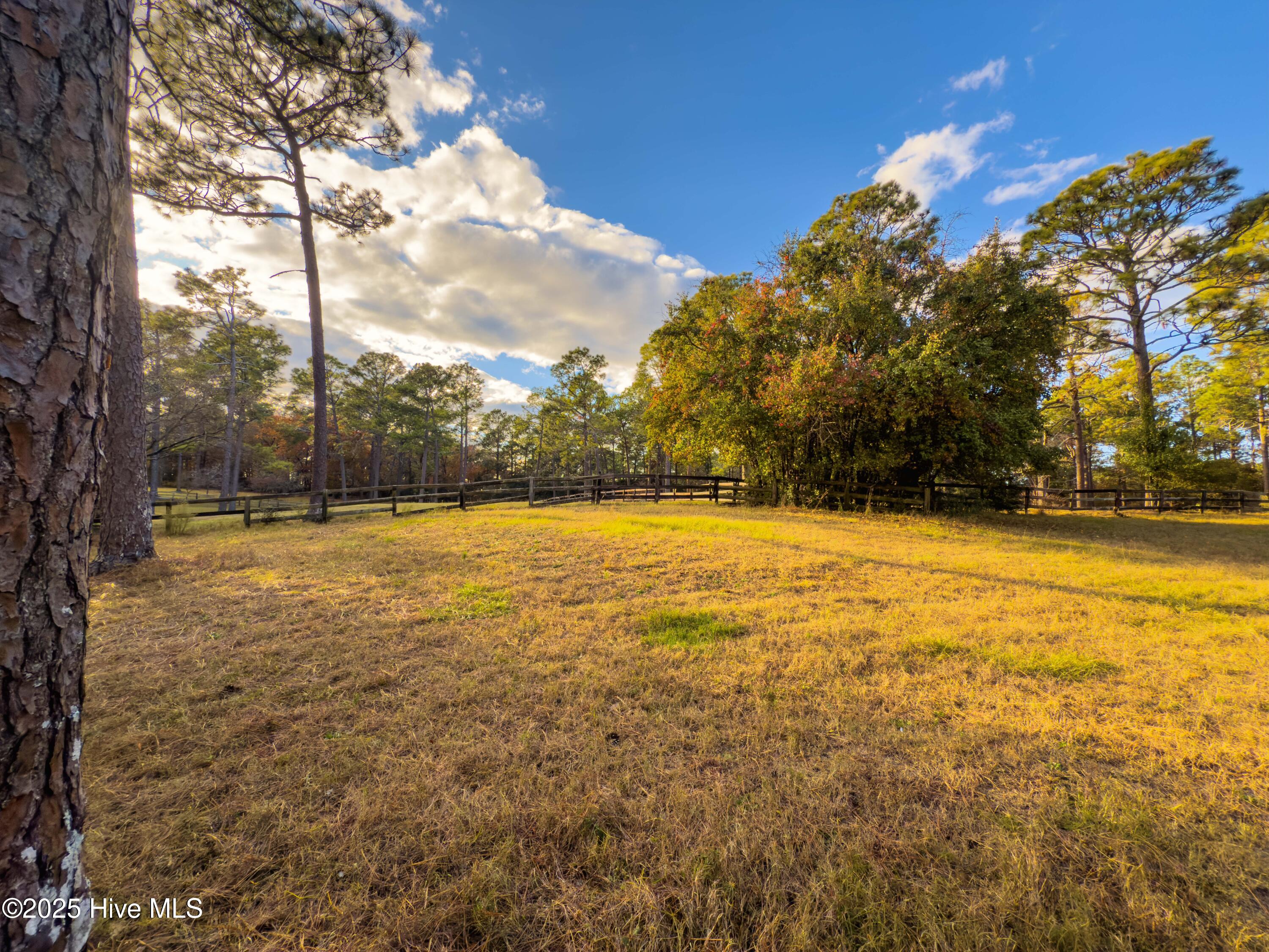 292 Bump A Long Lane