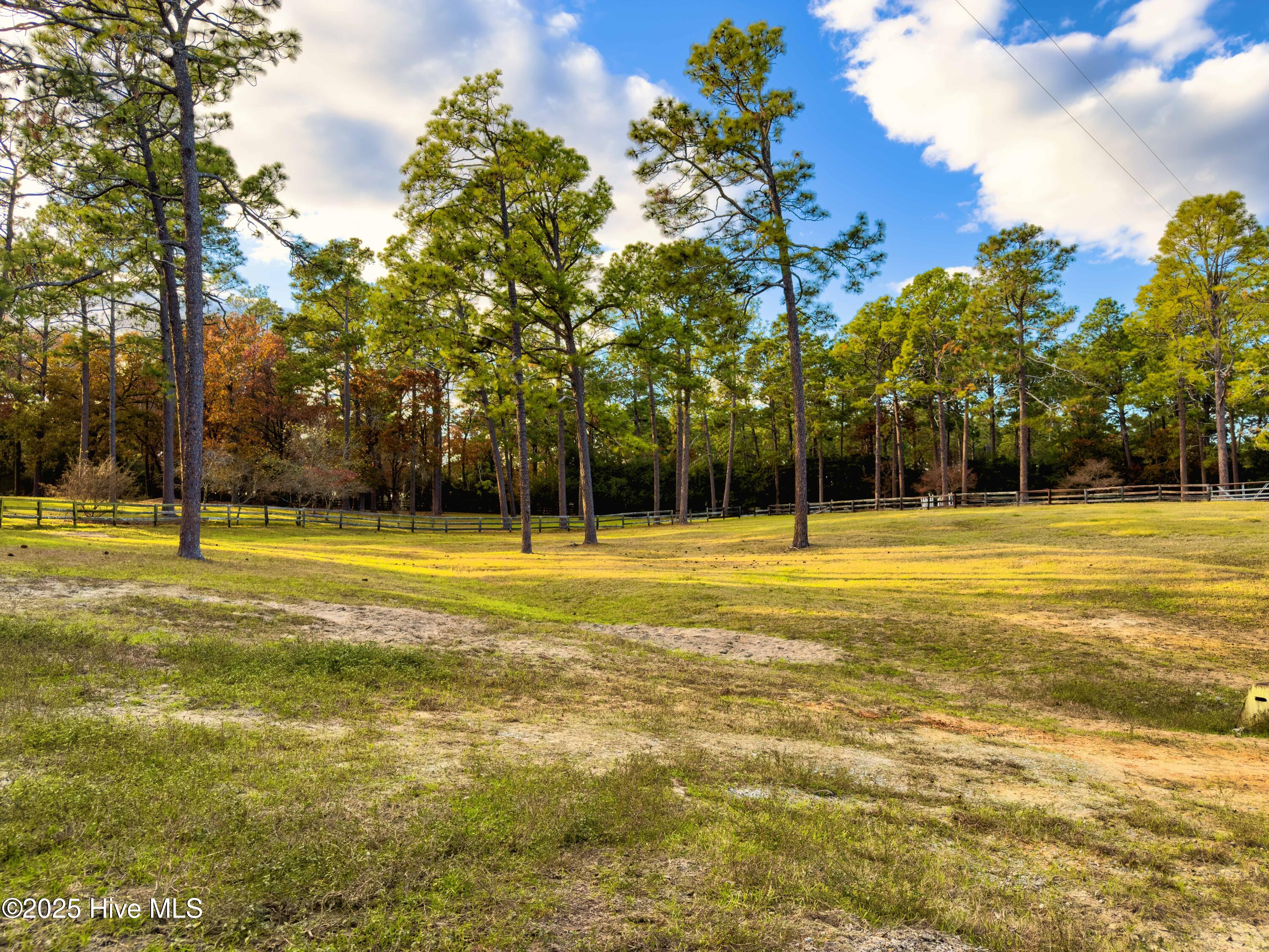 292 Bump A Long Lane