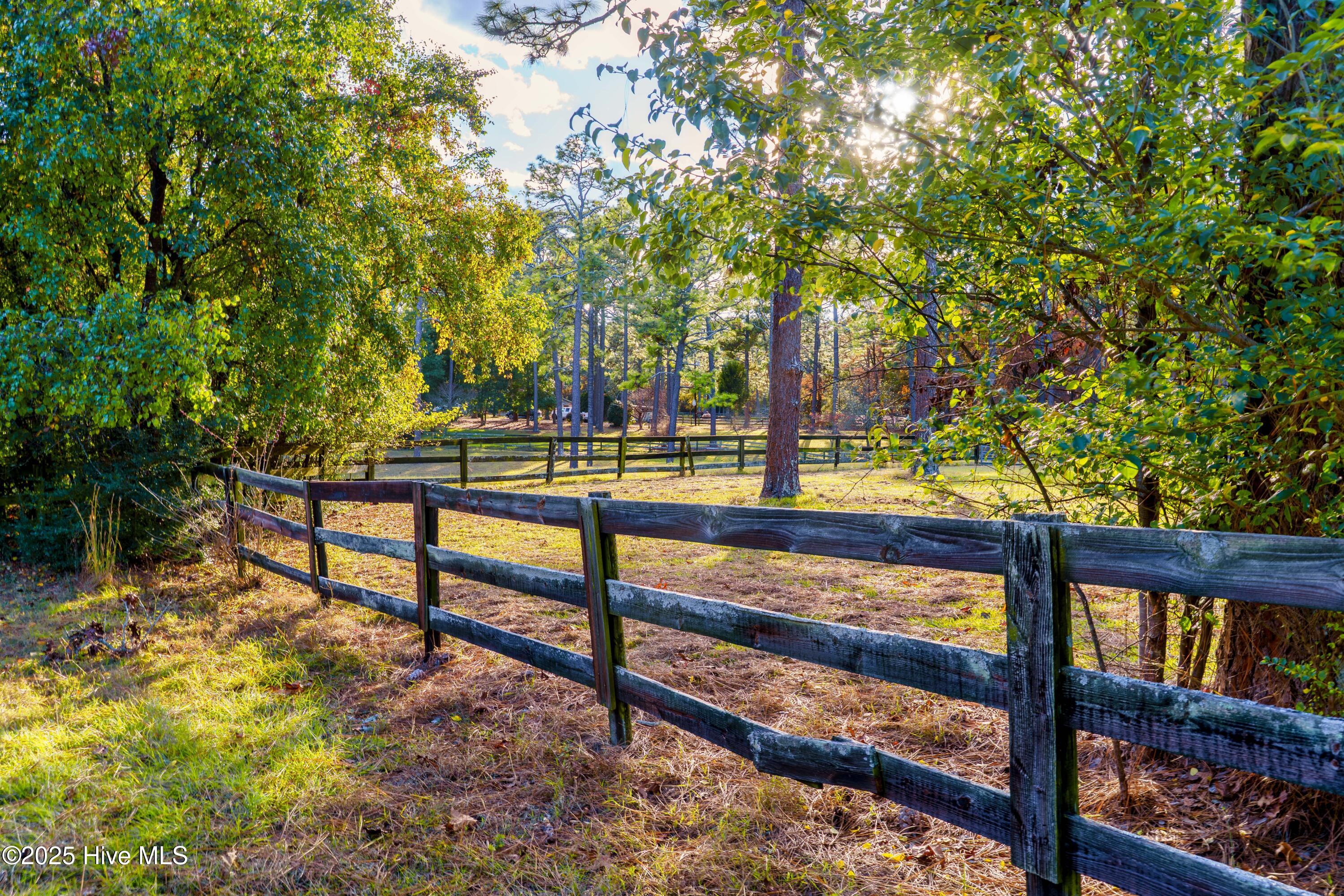 292 Bump A Long Lane