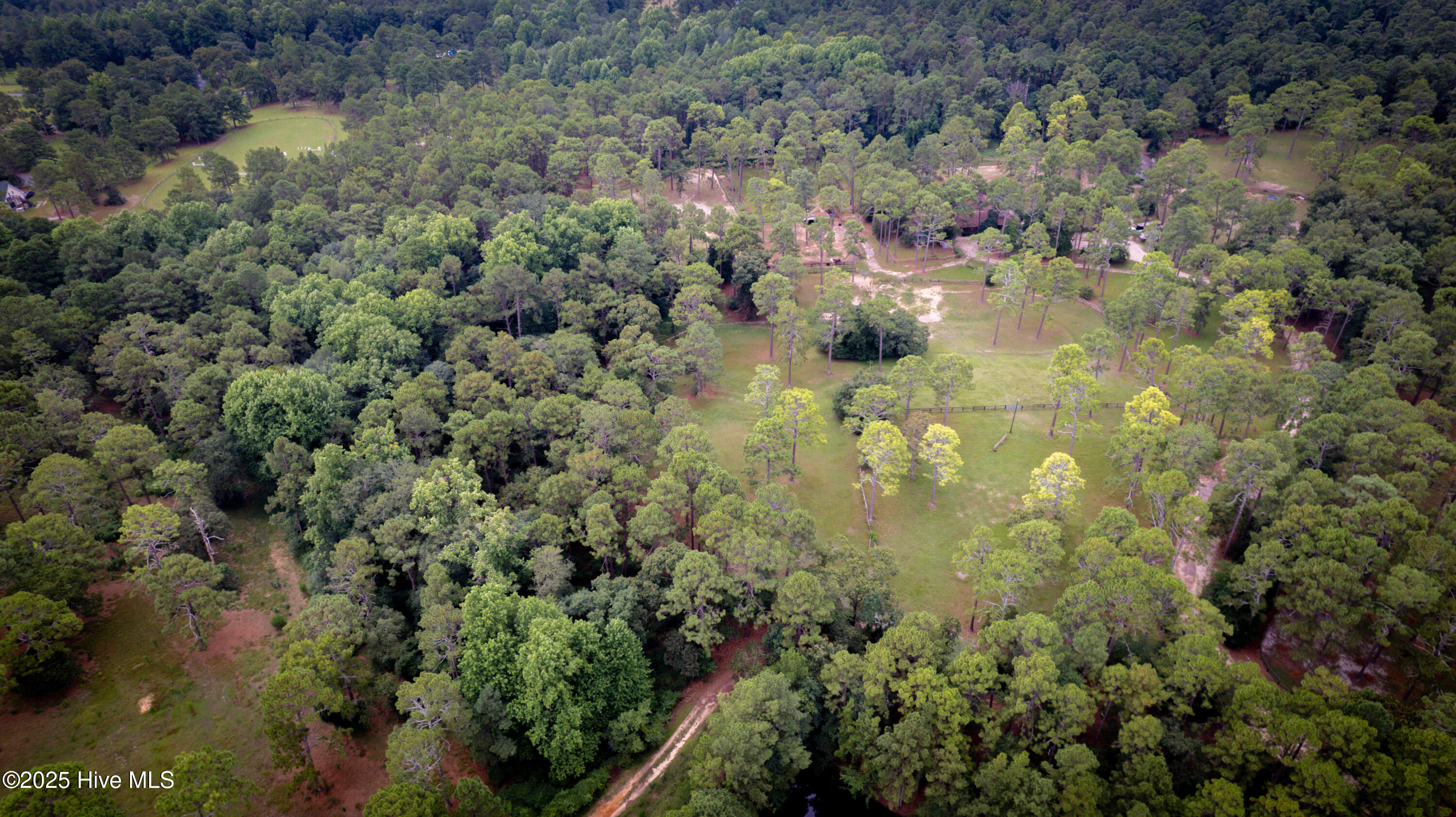 292 Bump A Long Lane