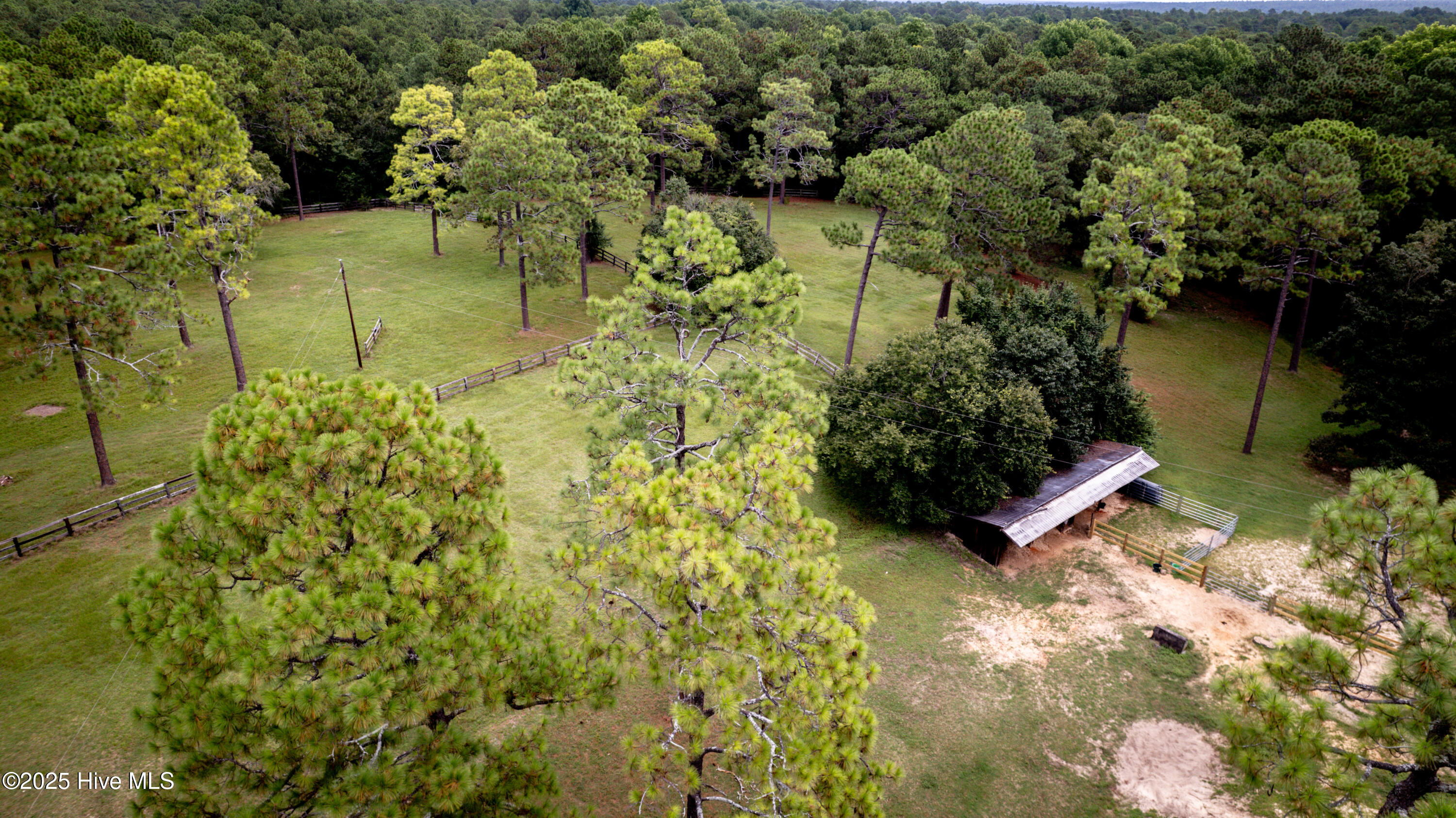 292 Bump A Long Lane