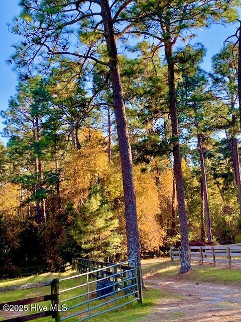 292 Bump A Long Lane