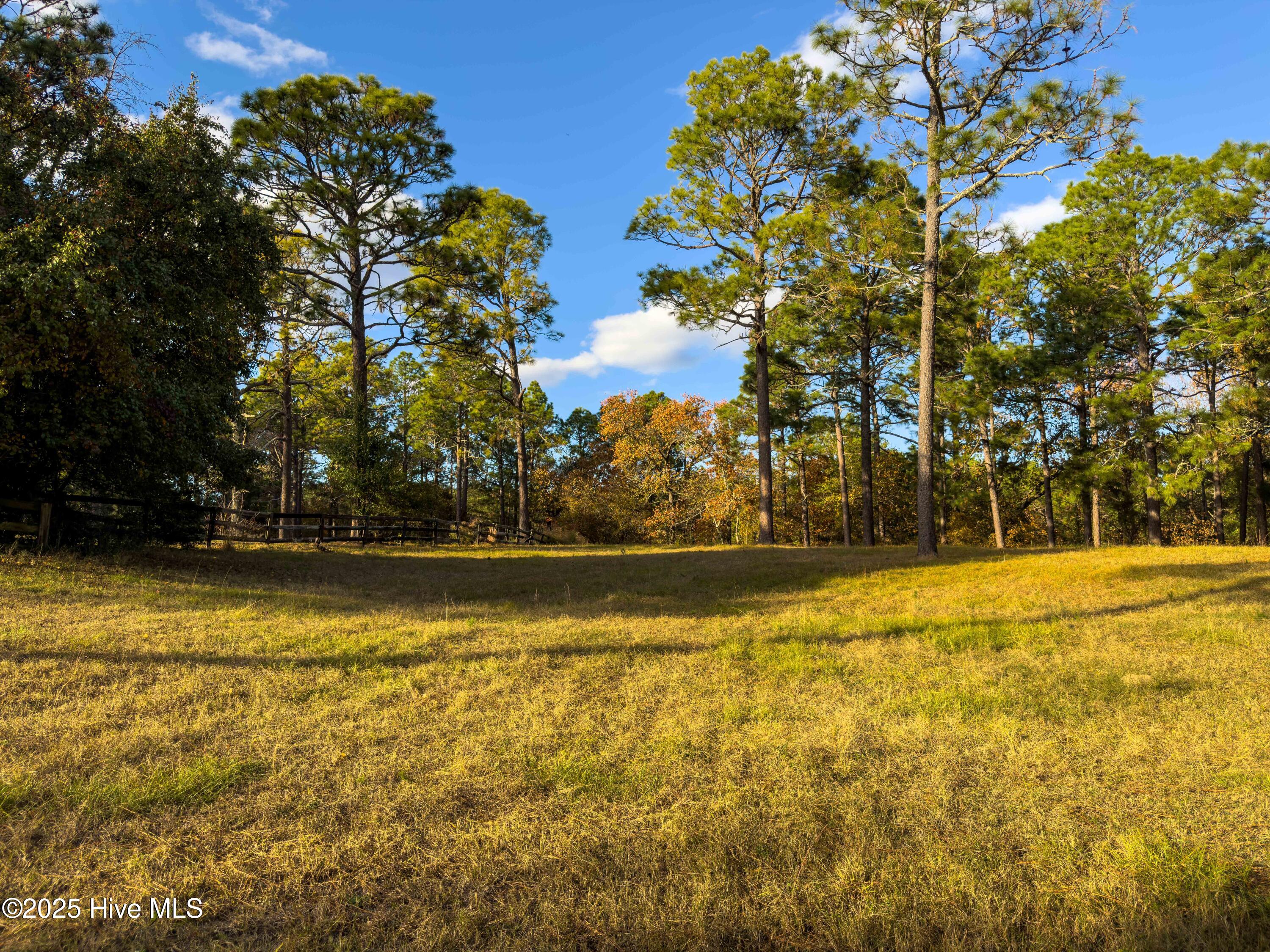 292 Bump A Long Lane