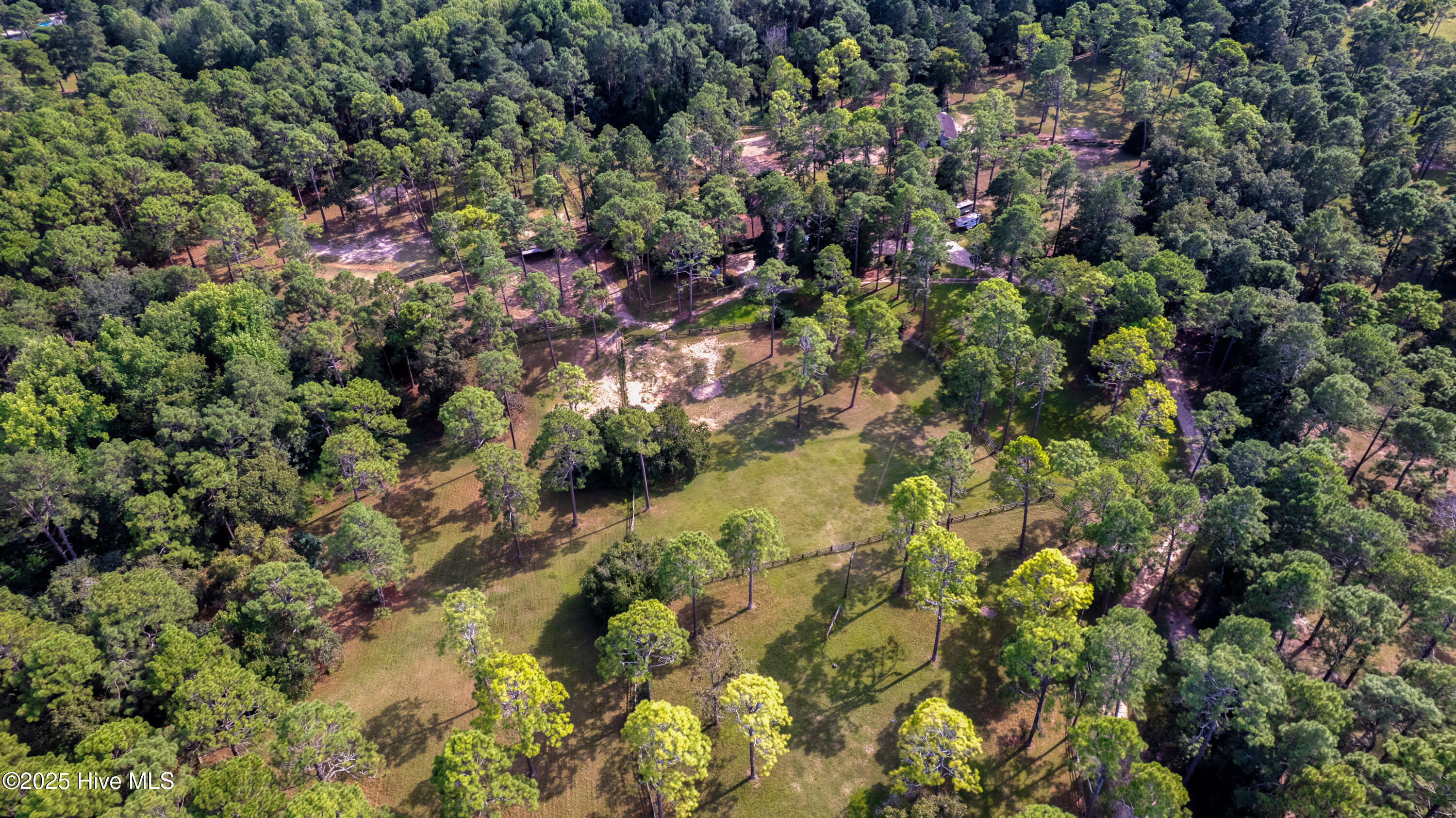 292 Bump A Long Lane