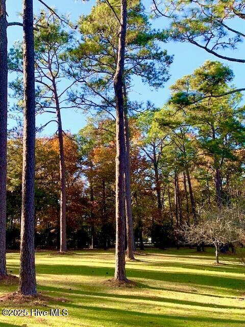 292 Bump A Long Lane