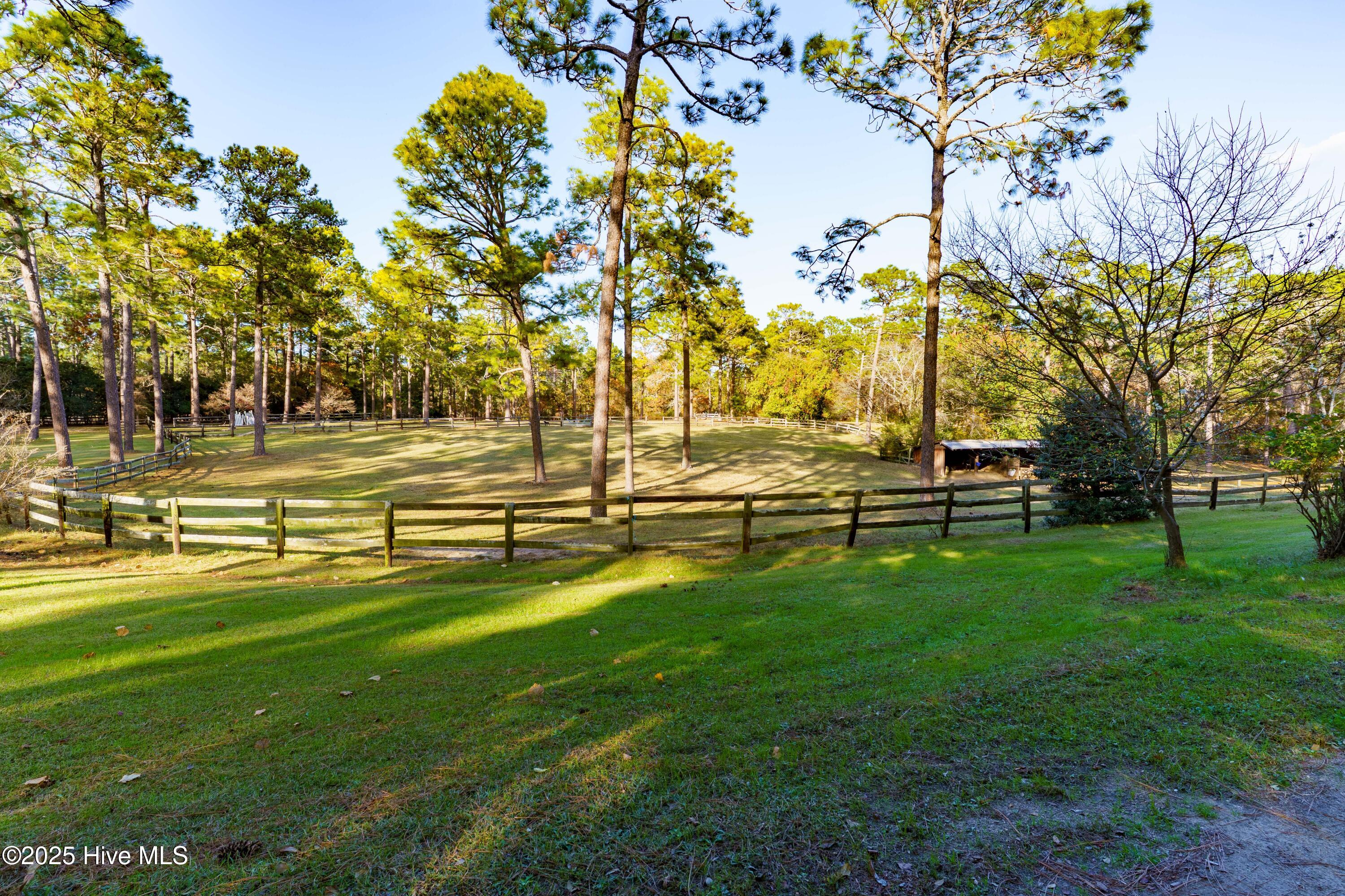 292 Bump A Long Lane