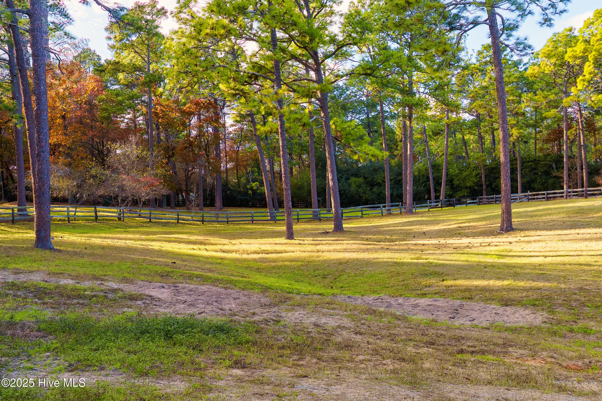 292 Bump A Long Lane