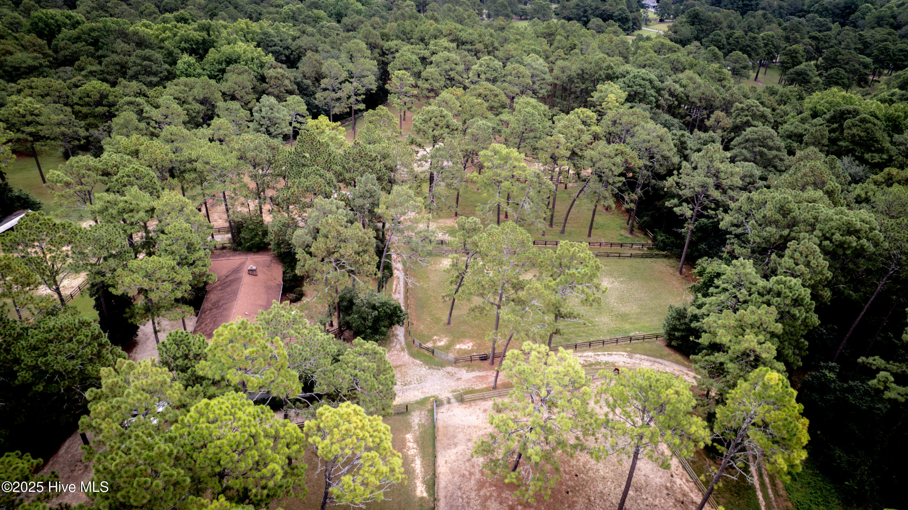 292 Bump A Long Lane