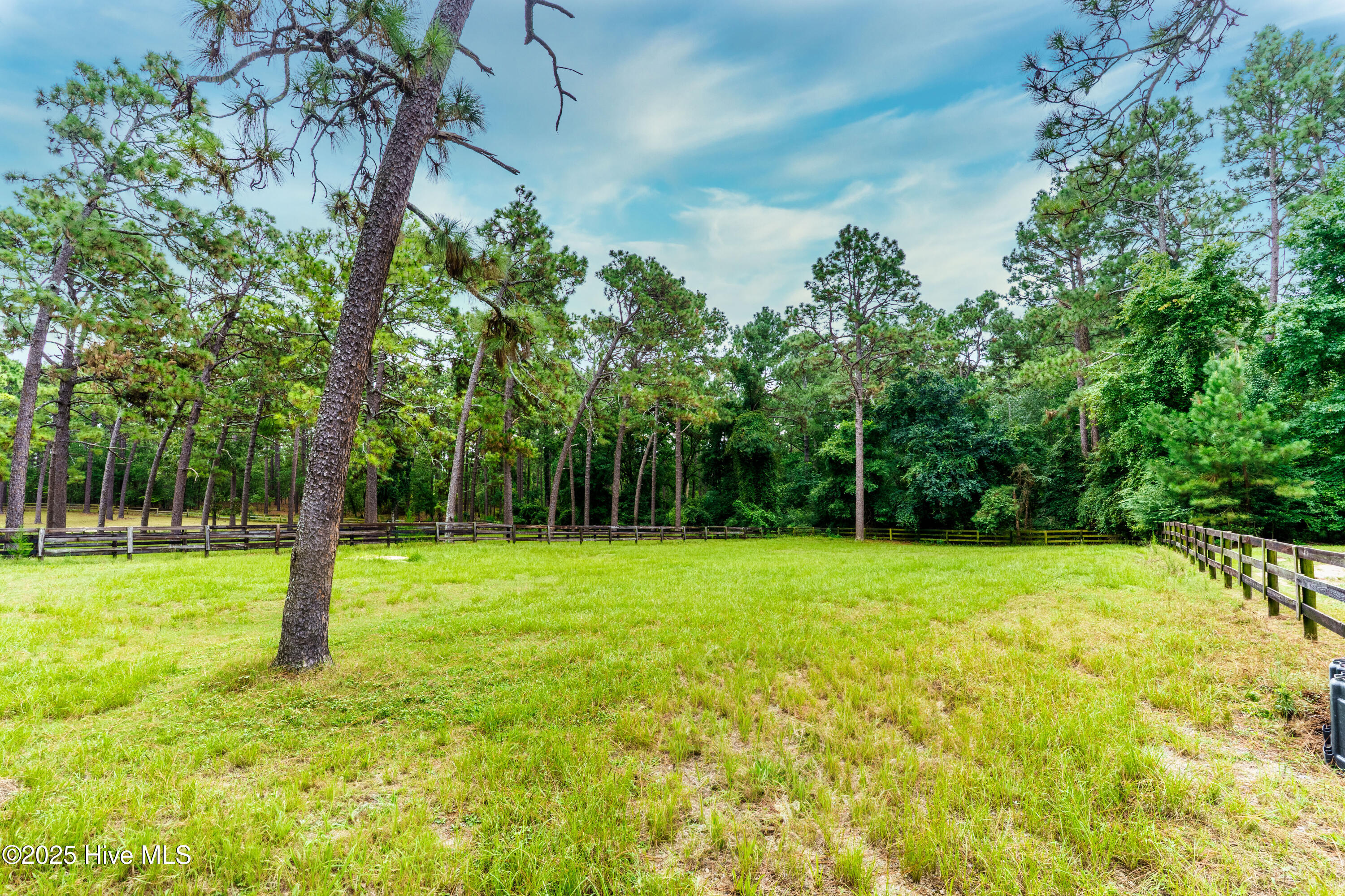 292 Bump A Long Lane