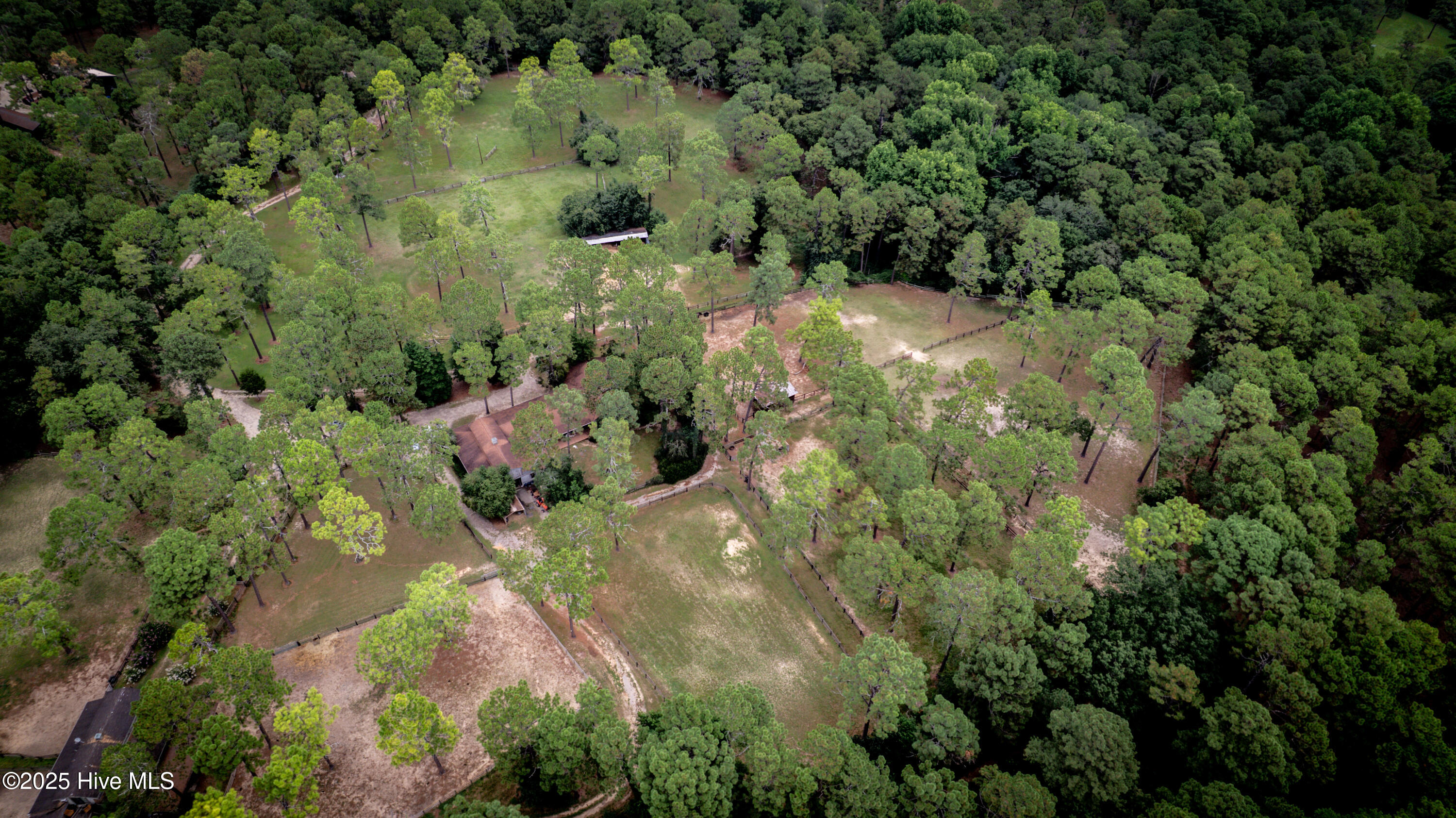 292 Bump A Long Lane