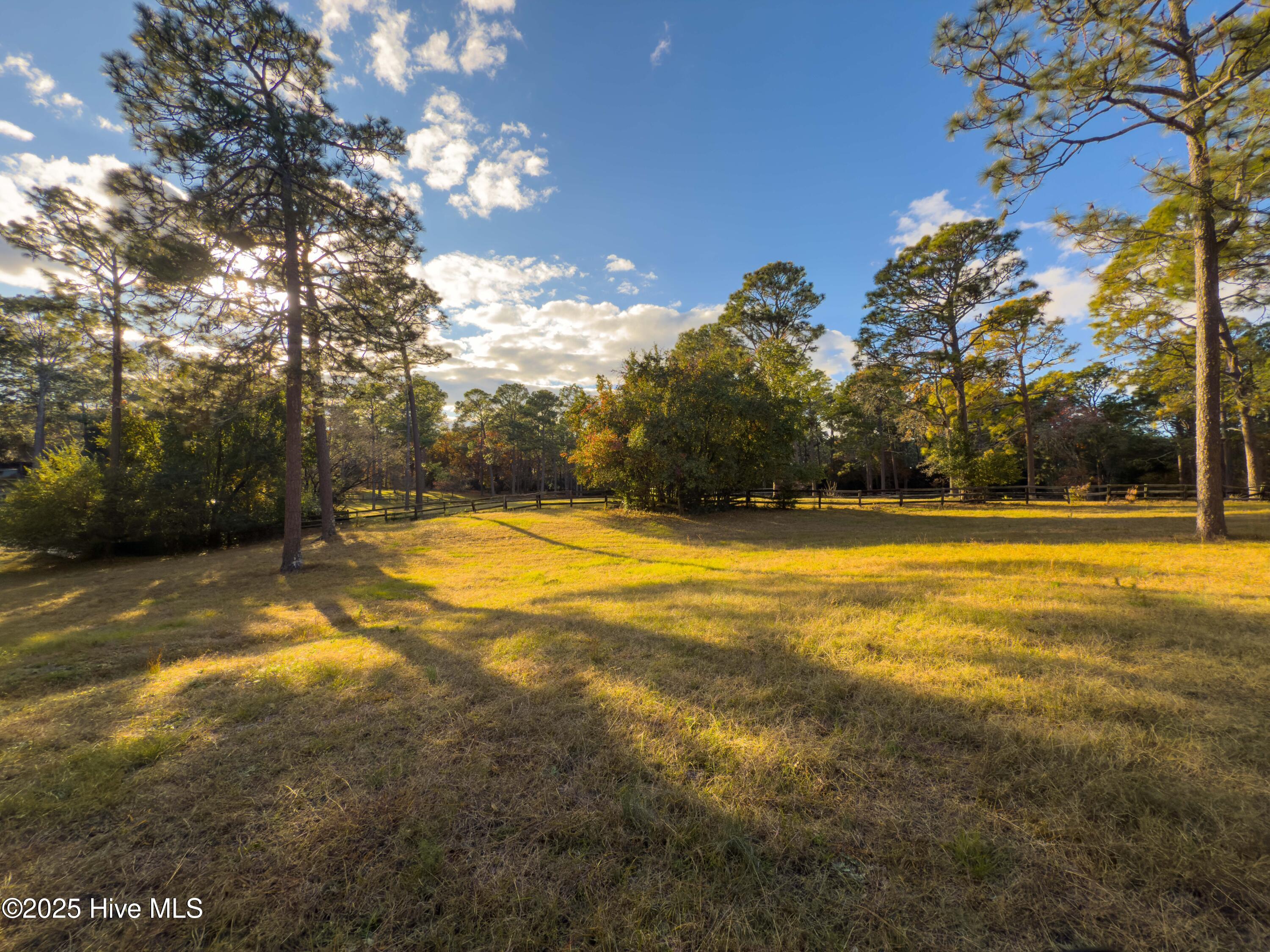 292 Bump A Long Lane