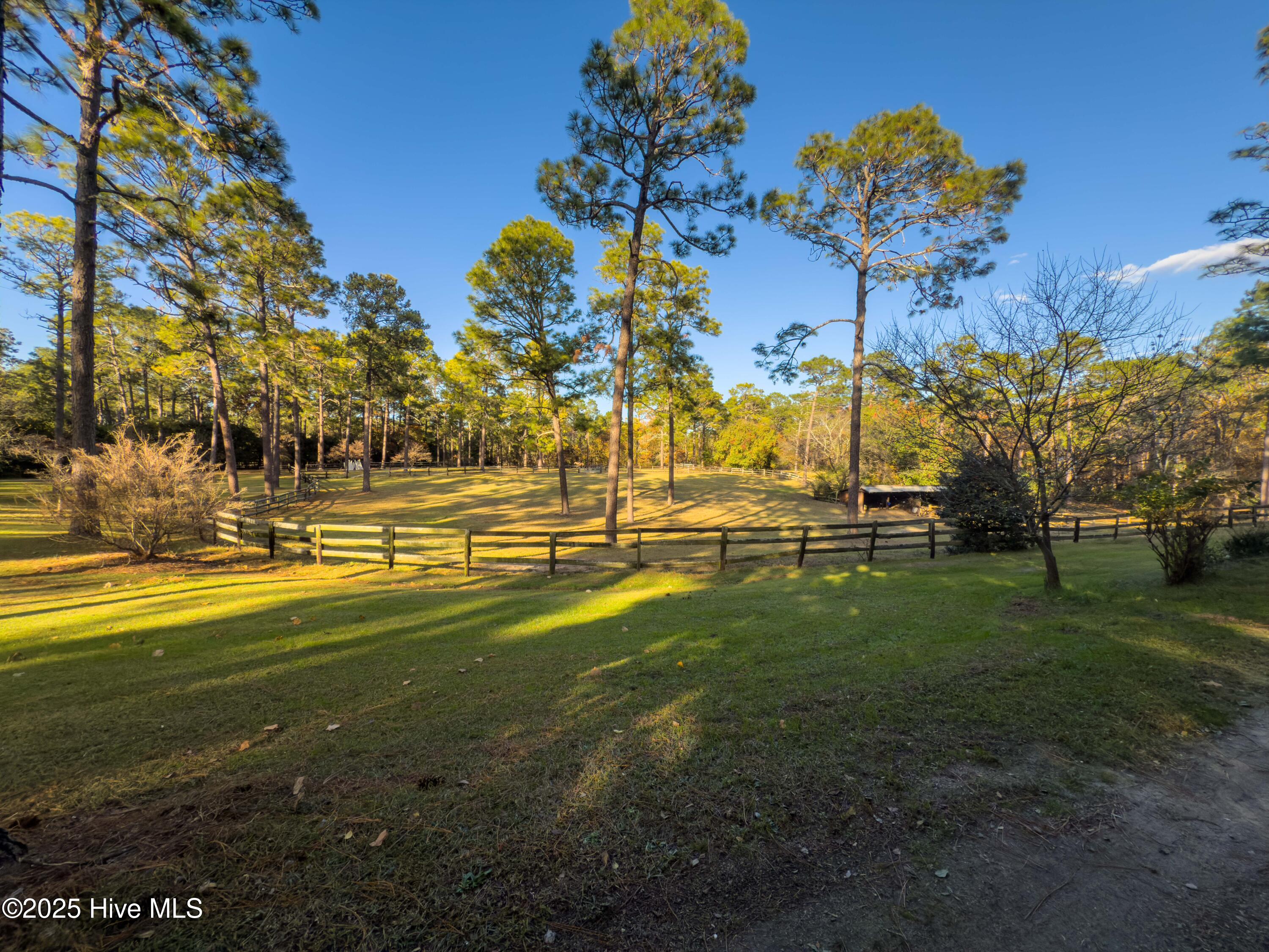 292 Bump A Long Lane