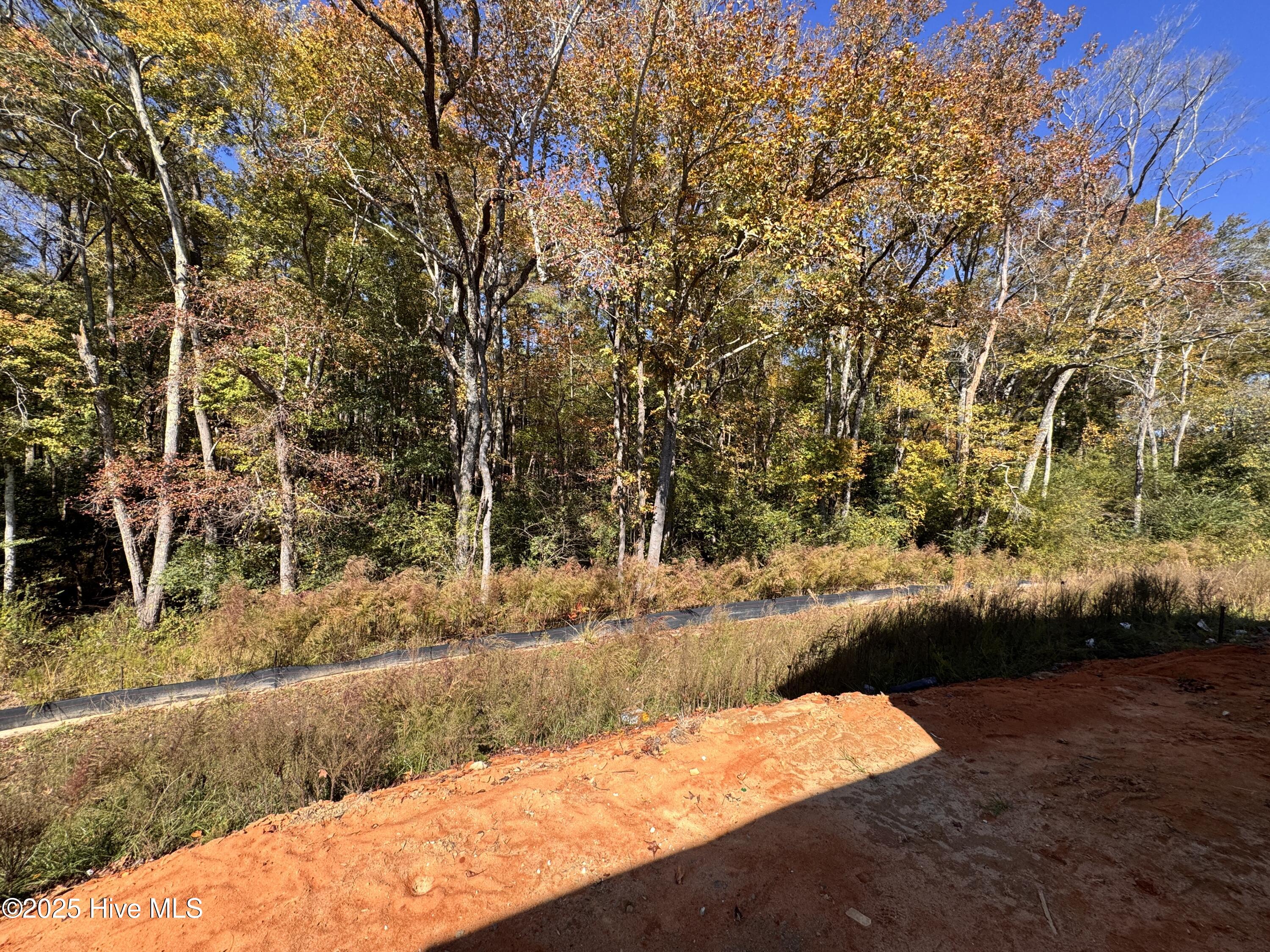 151 Michter Street, 41