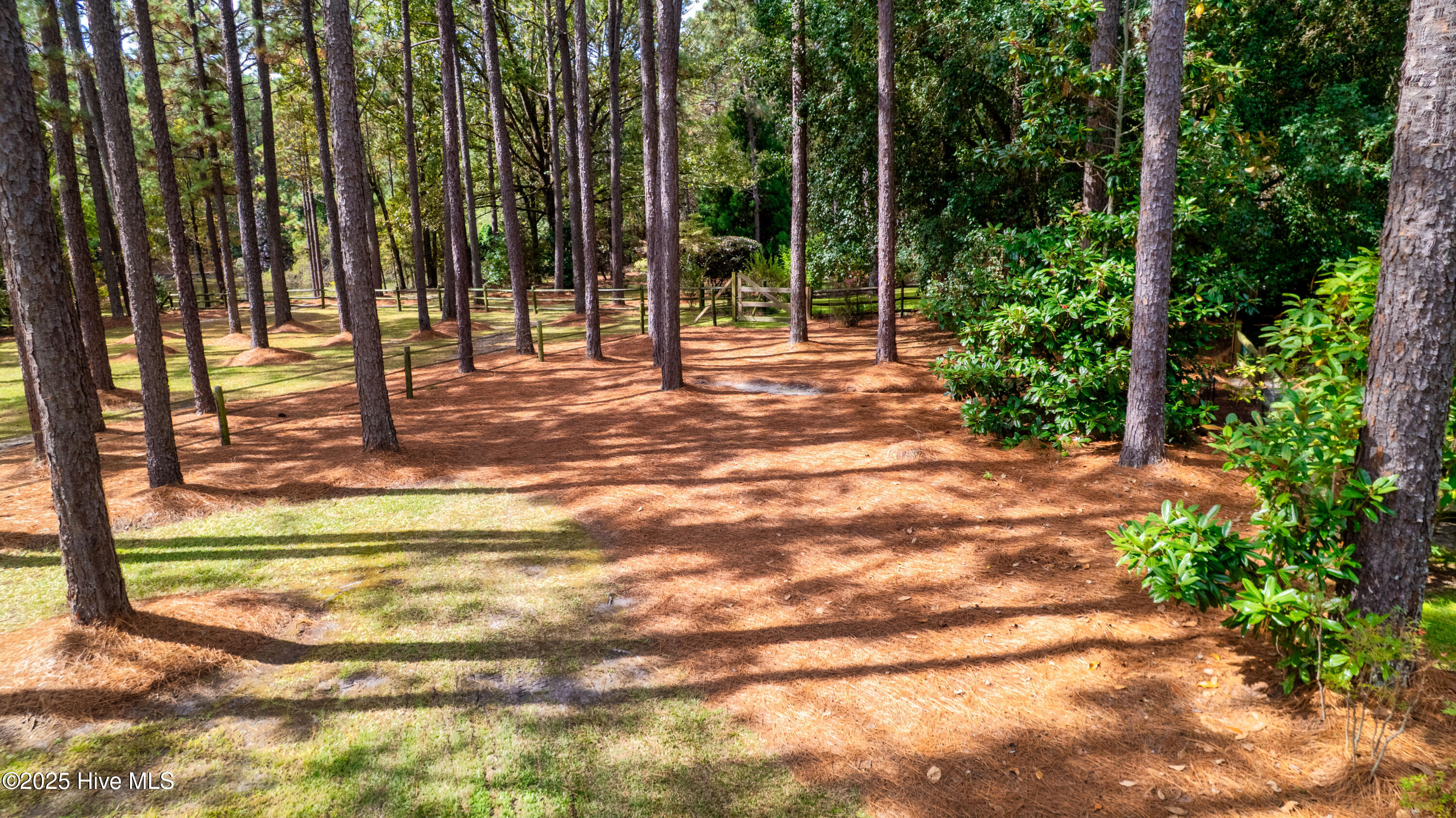 207 Bump A Long Lane, Southern Pines