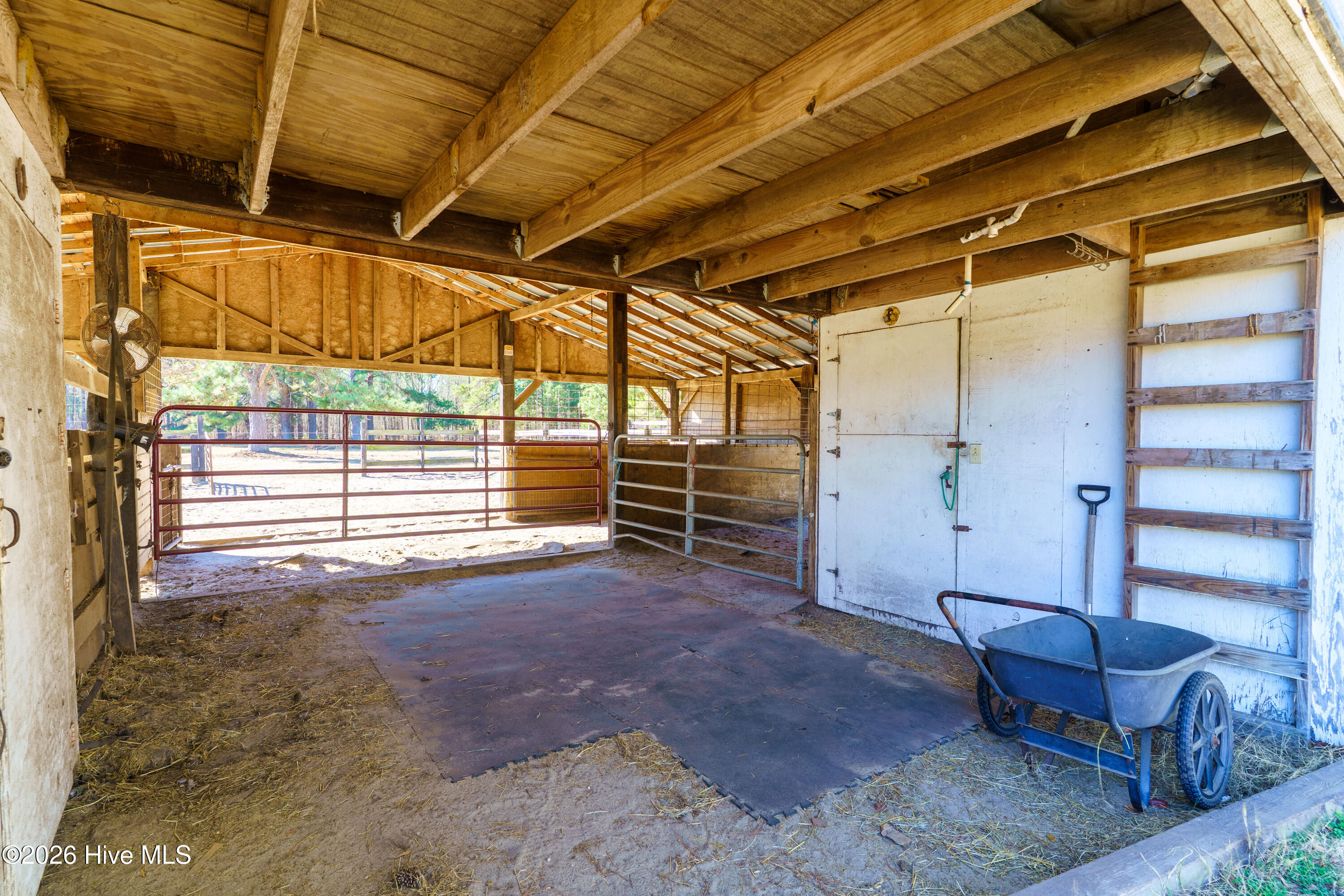 1157 Norton Road