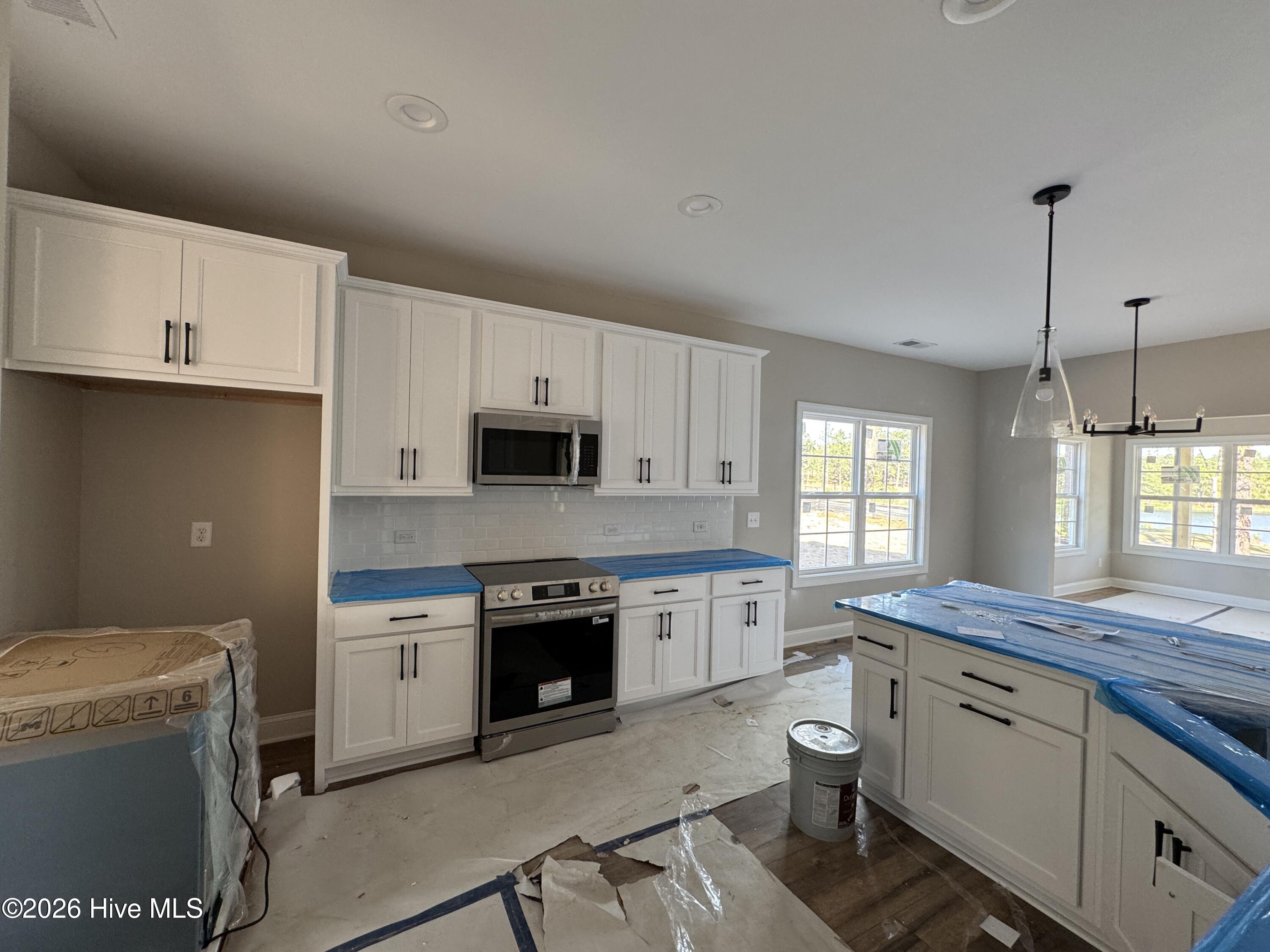 313 Phelps Lk Lane 582