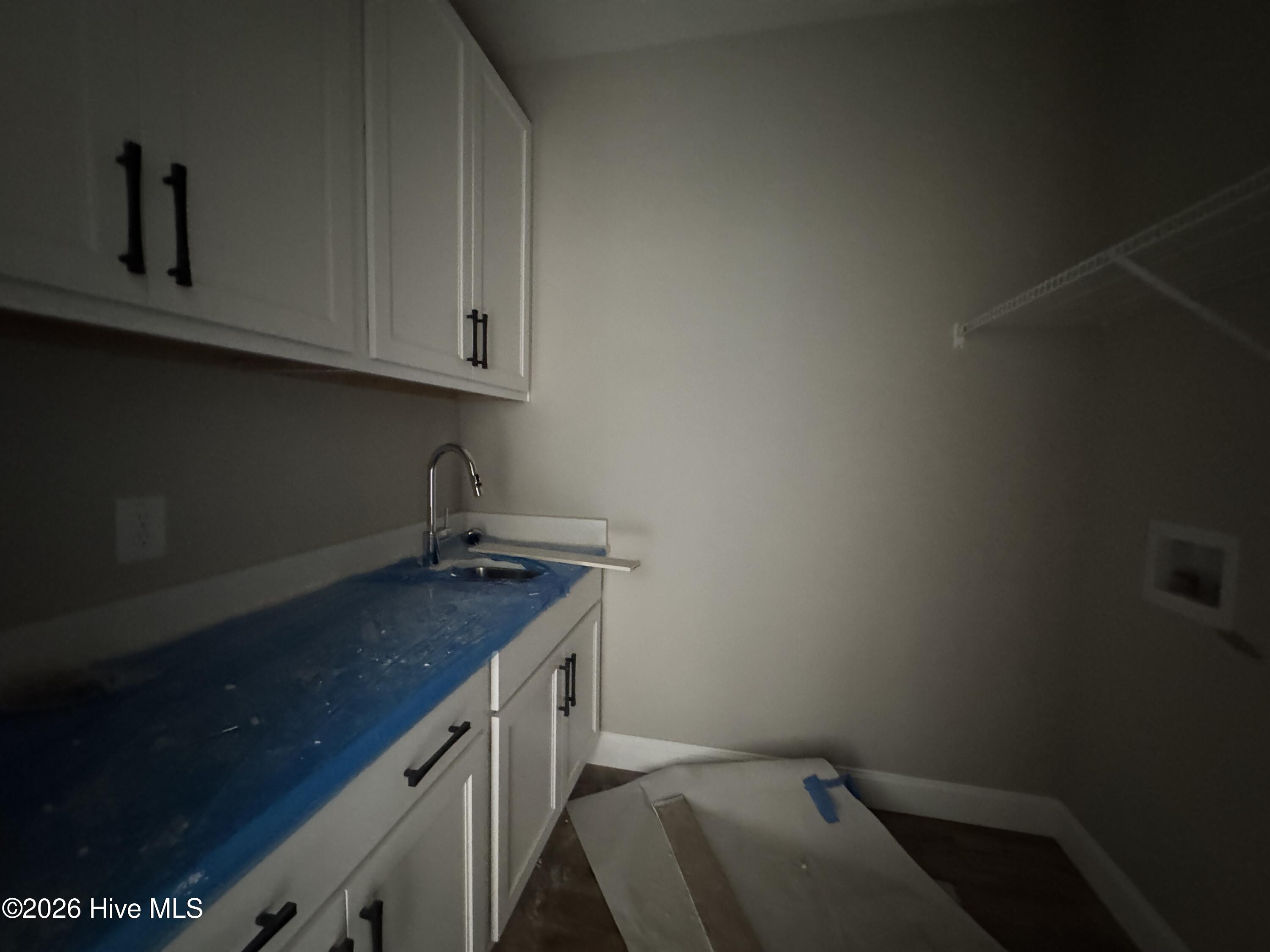 313 Phelps Lk Lane 582