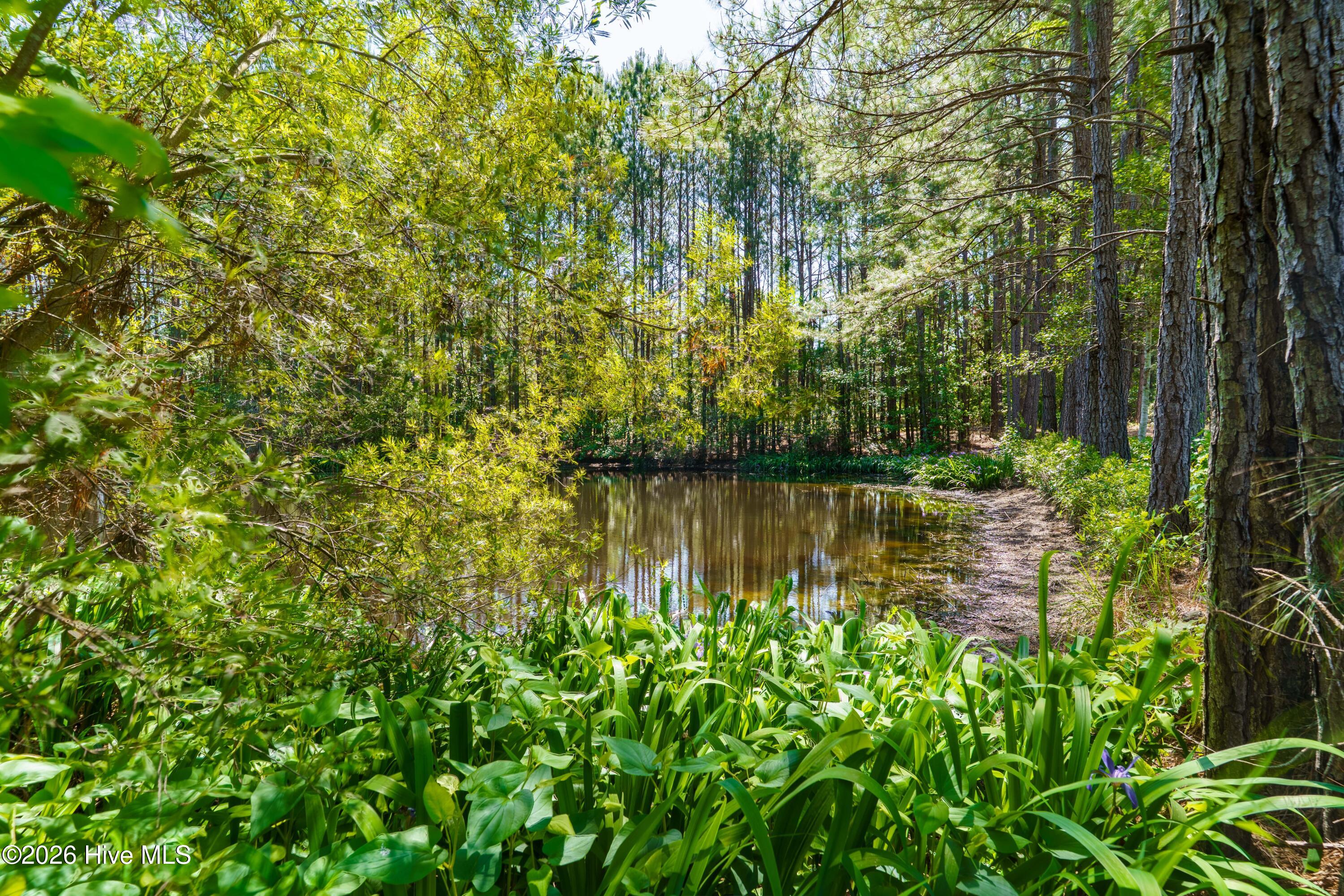 235 Griffin Lake Road