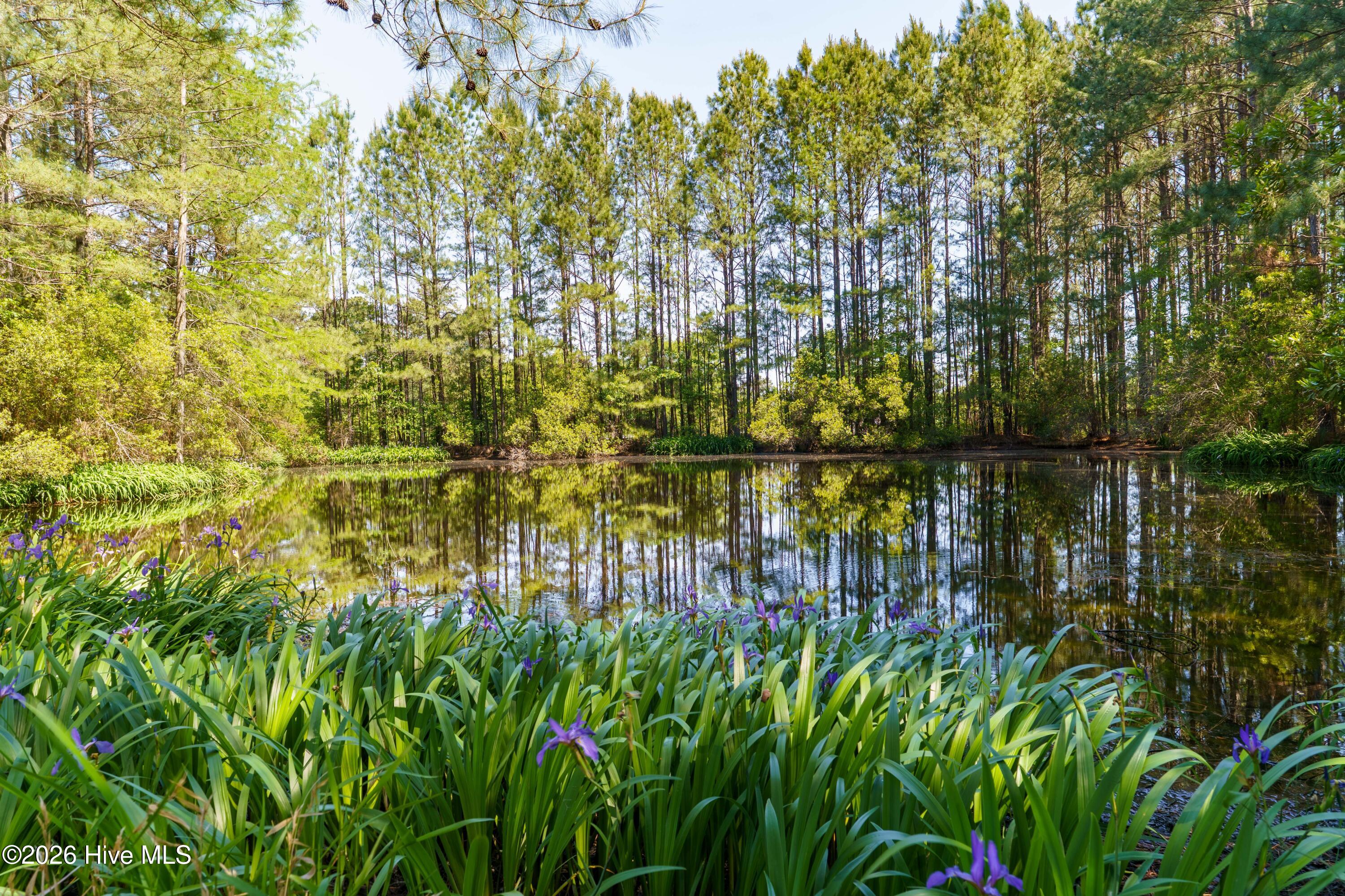 235 Griffin Lake Road