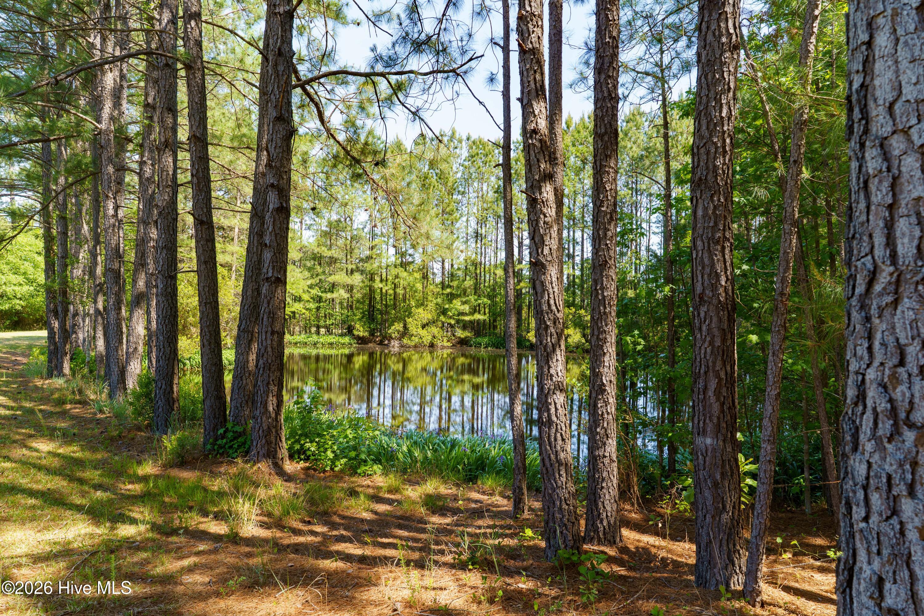 235 Griffin Lake Road