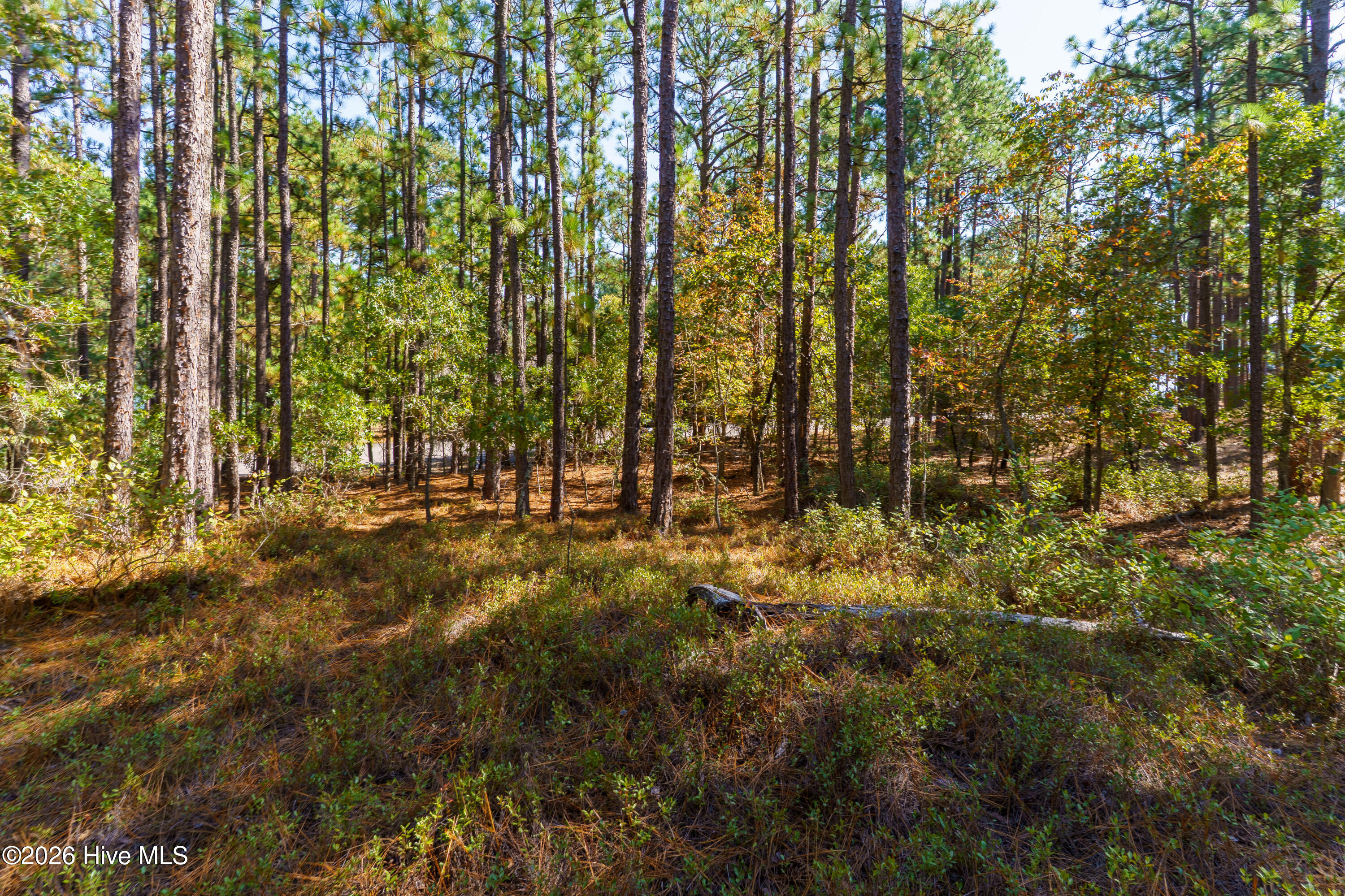 134 Vanore Road