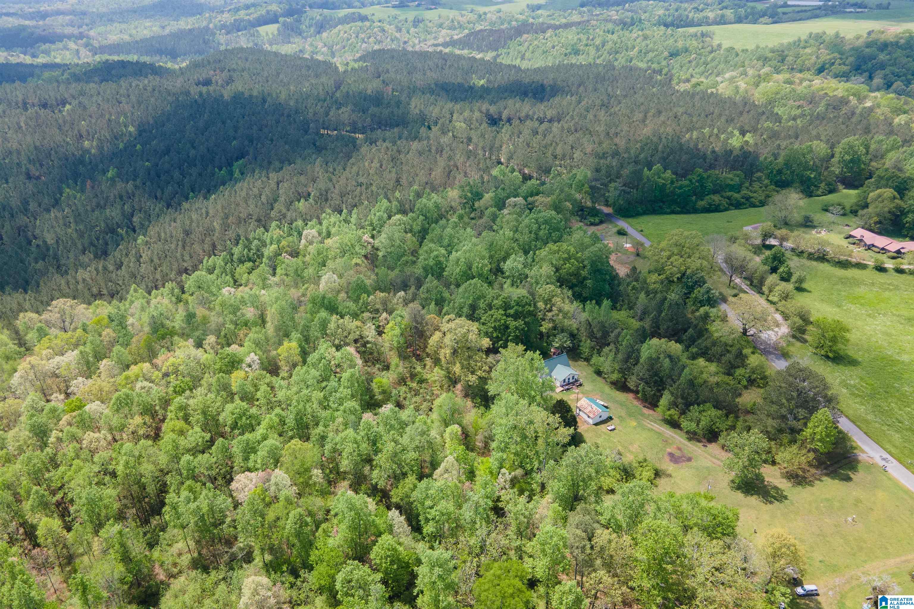 1061 COUNTY ROAD 998