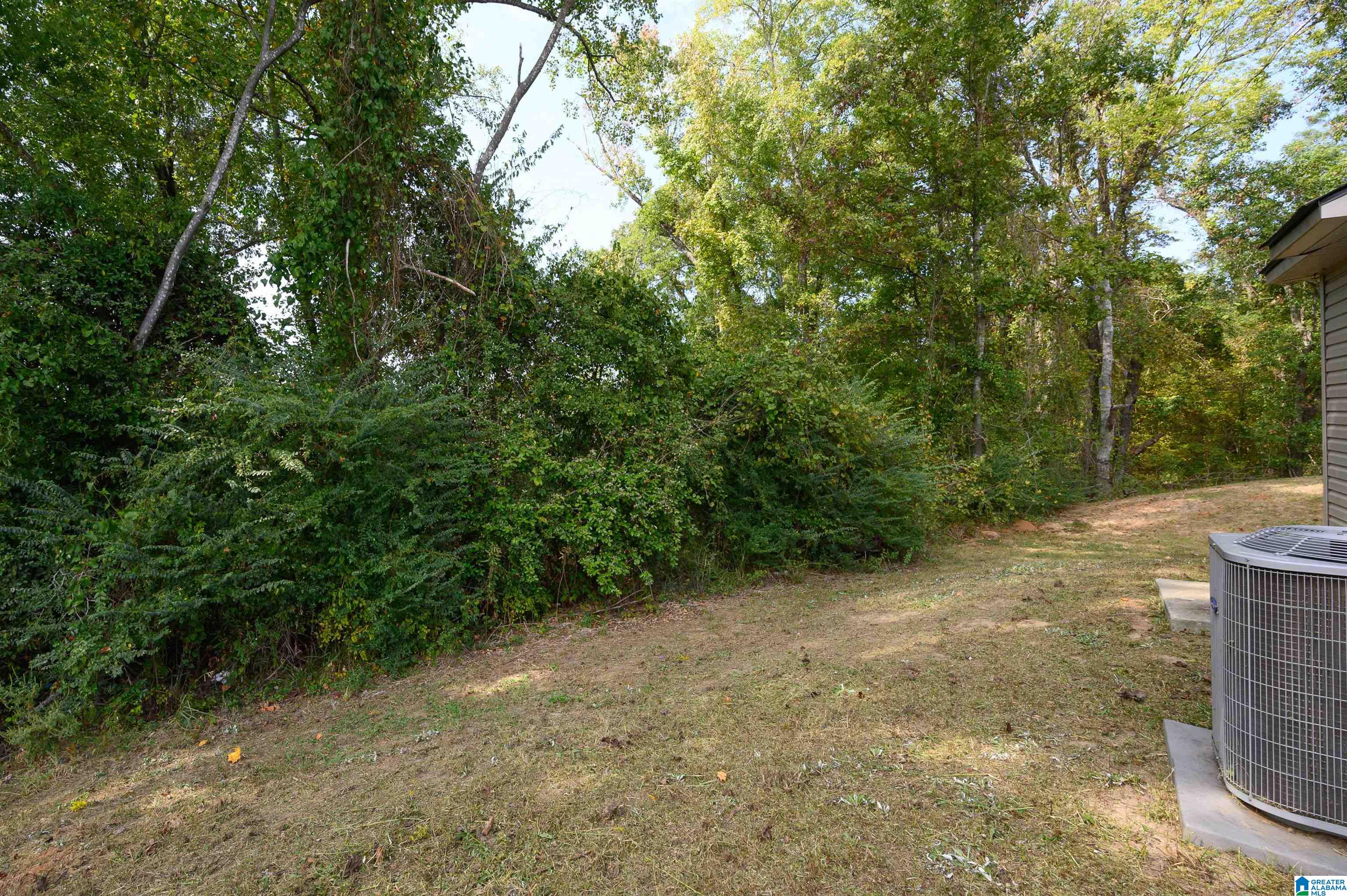 12653 WATERBURY COVE