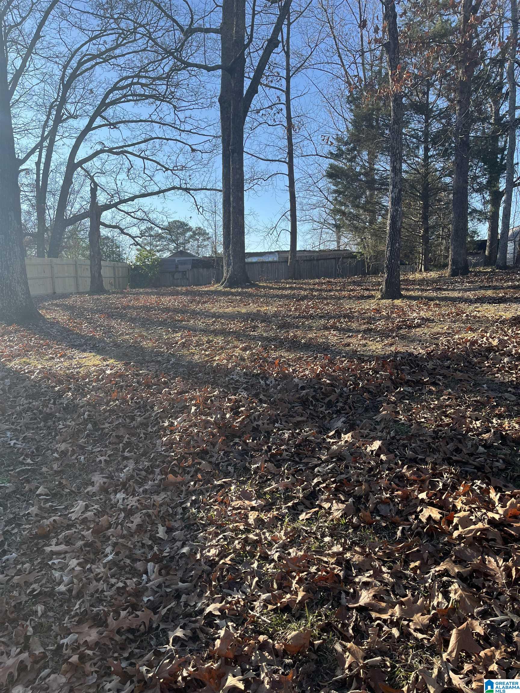 Wooded backyard with mature trees, leaf-covered ground, and wooden fencing.