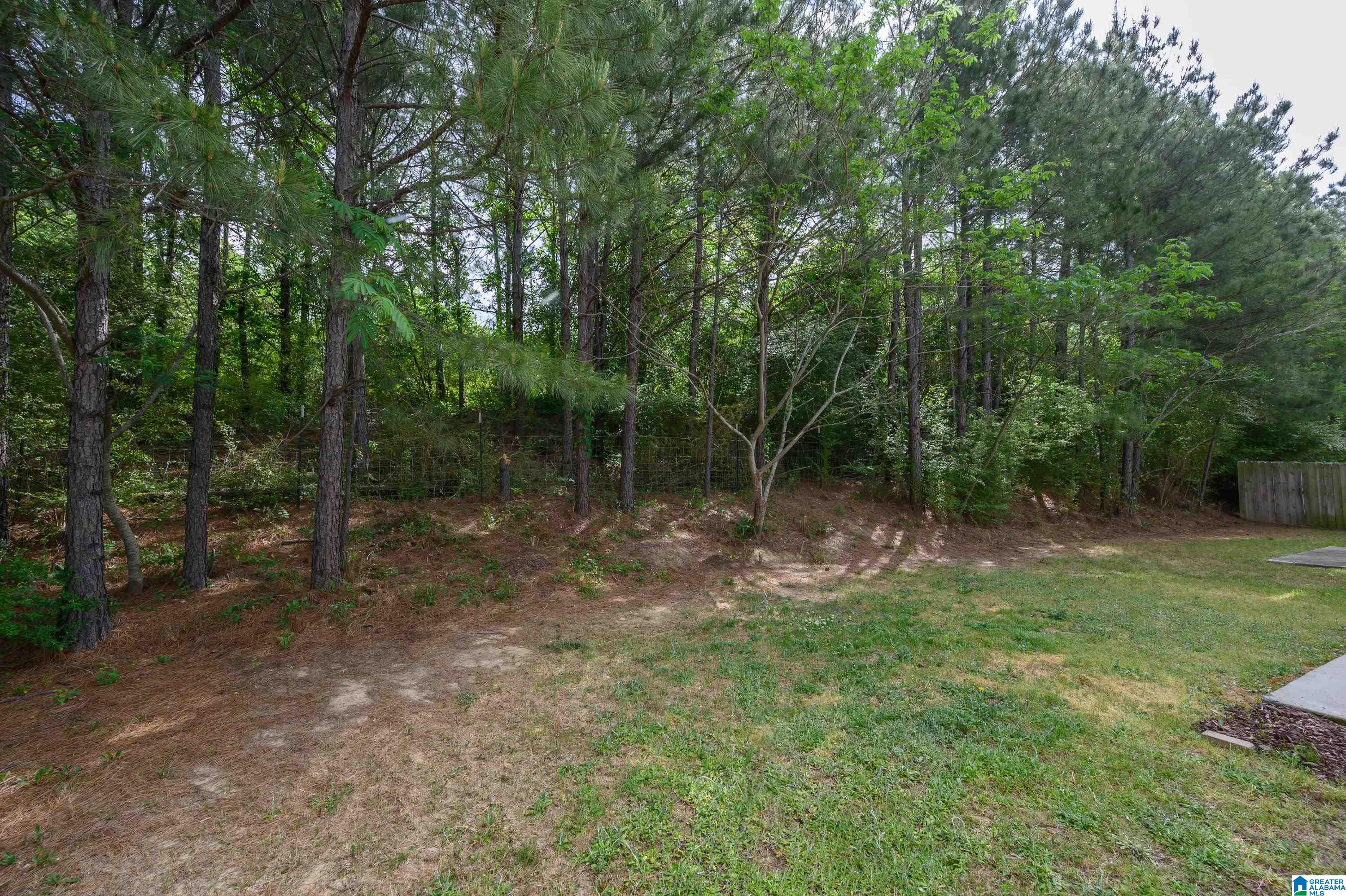 3455 MISTY HOLLOW DRIVE