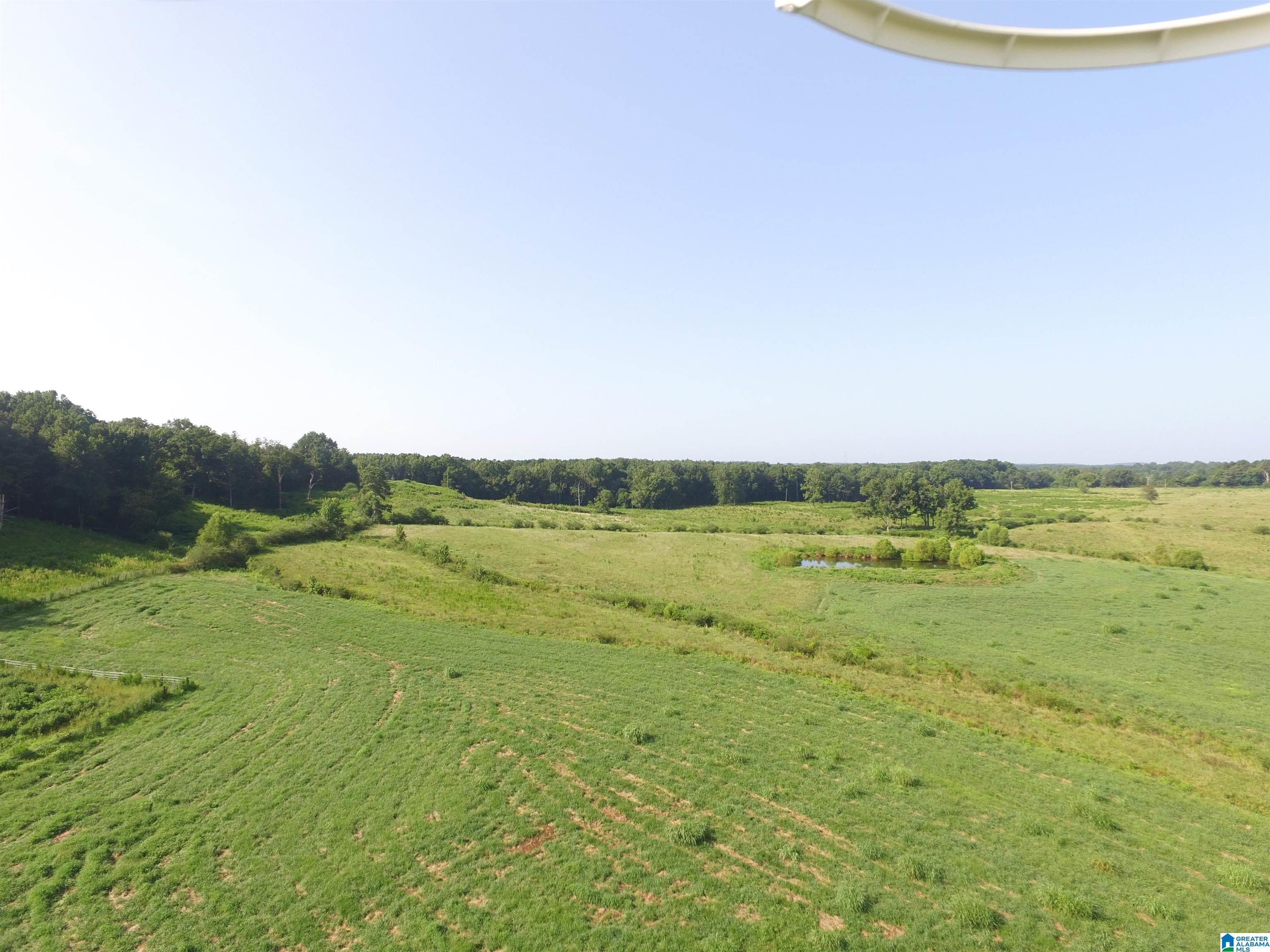215 COUNTY ROAD 1041