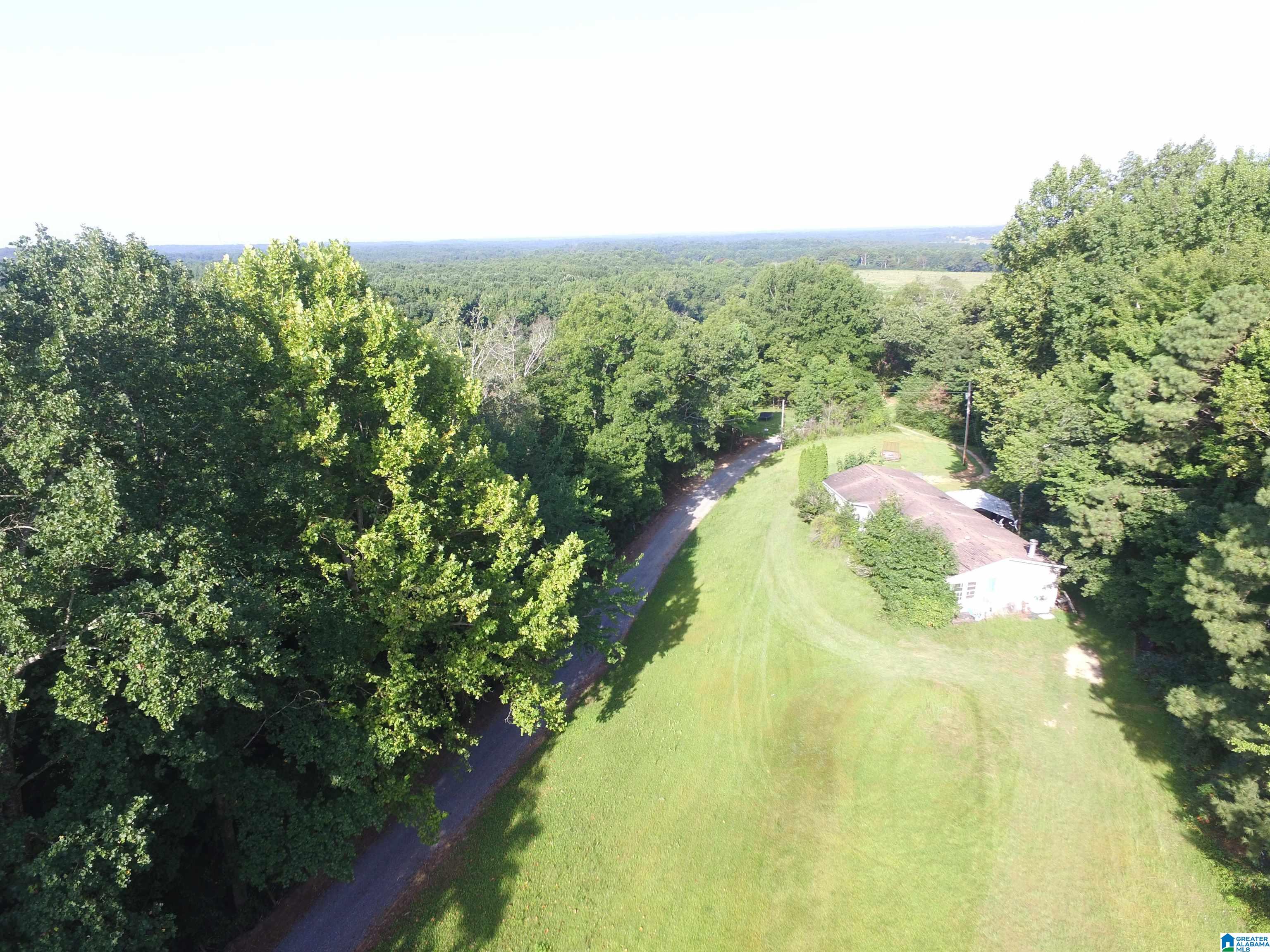 215 COUNTY ROAD 1041