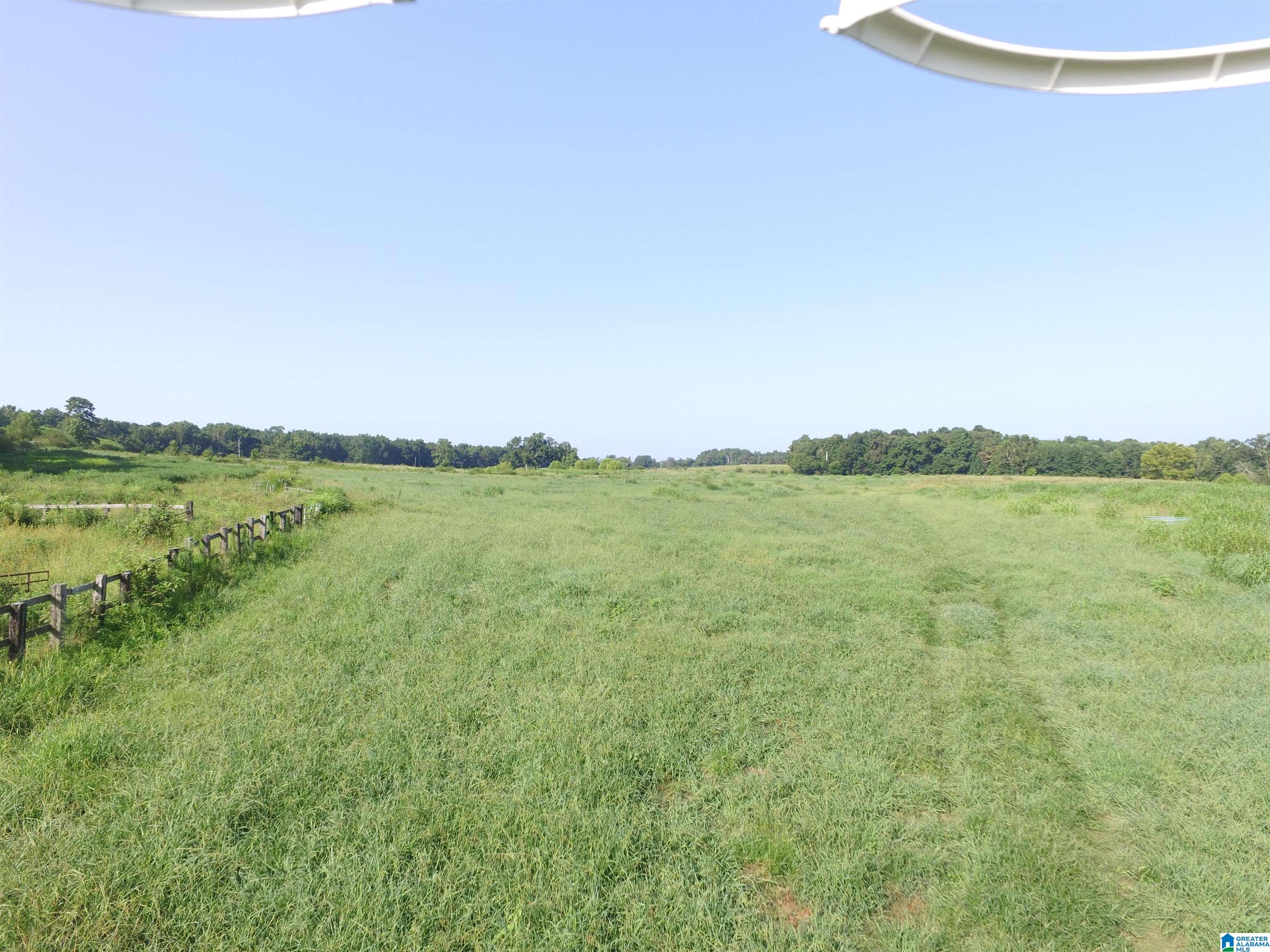 215 COUNTY ROAD 1041