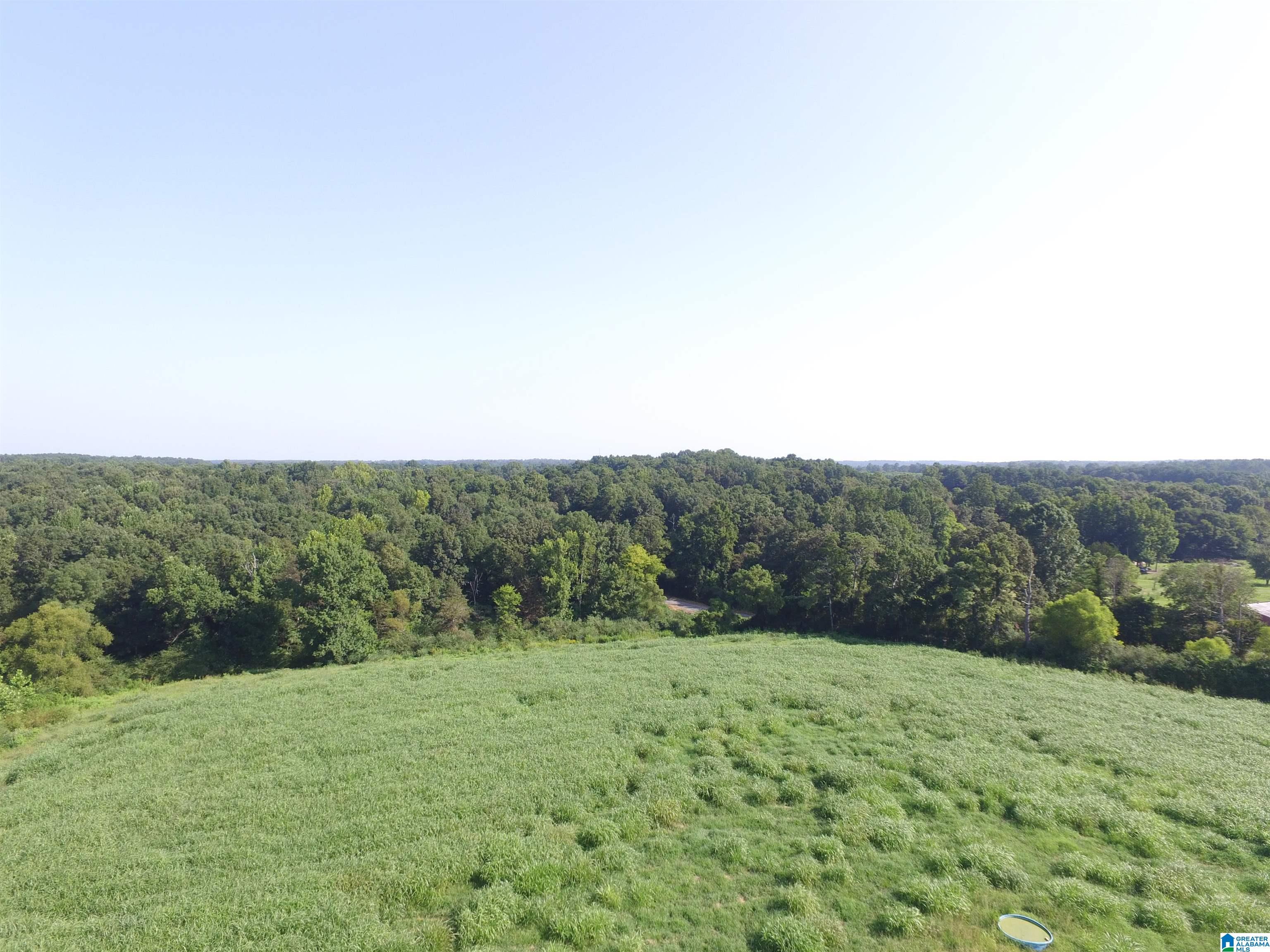 215 COUNTY ROAD 1041