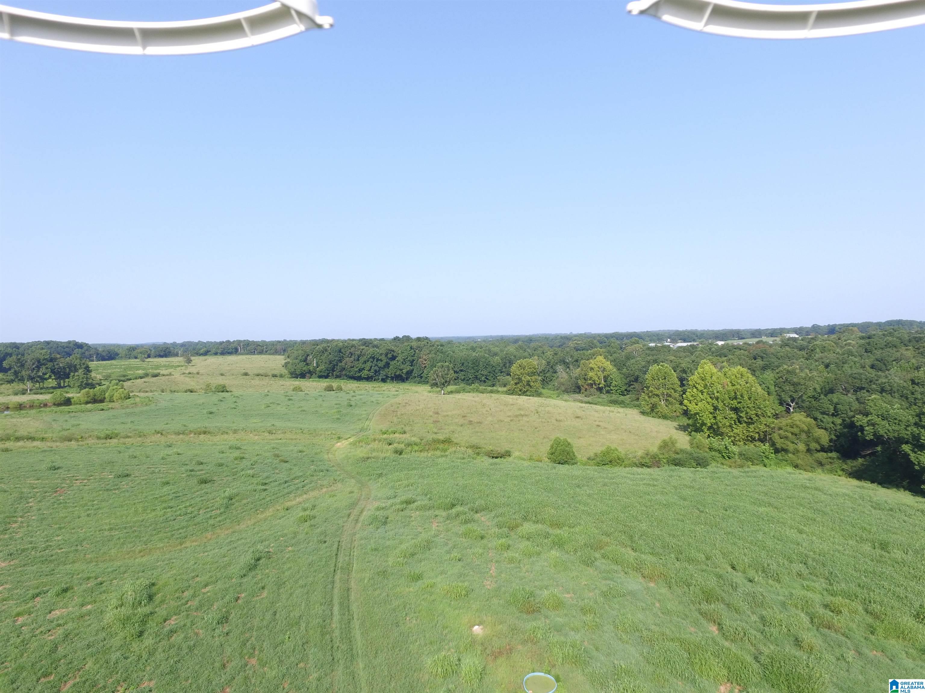 215 COUNTY ROAD 1041