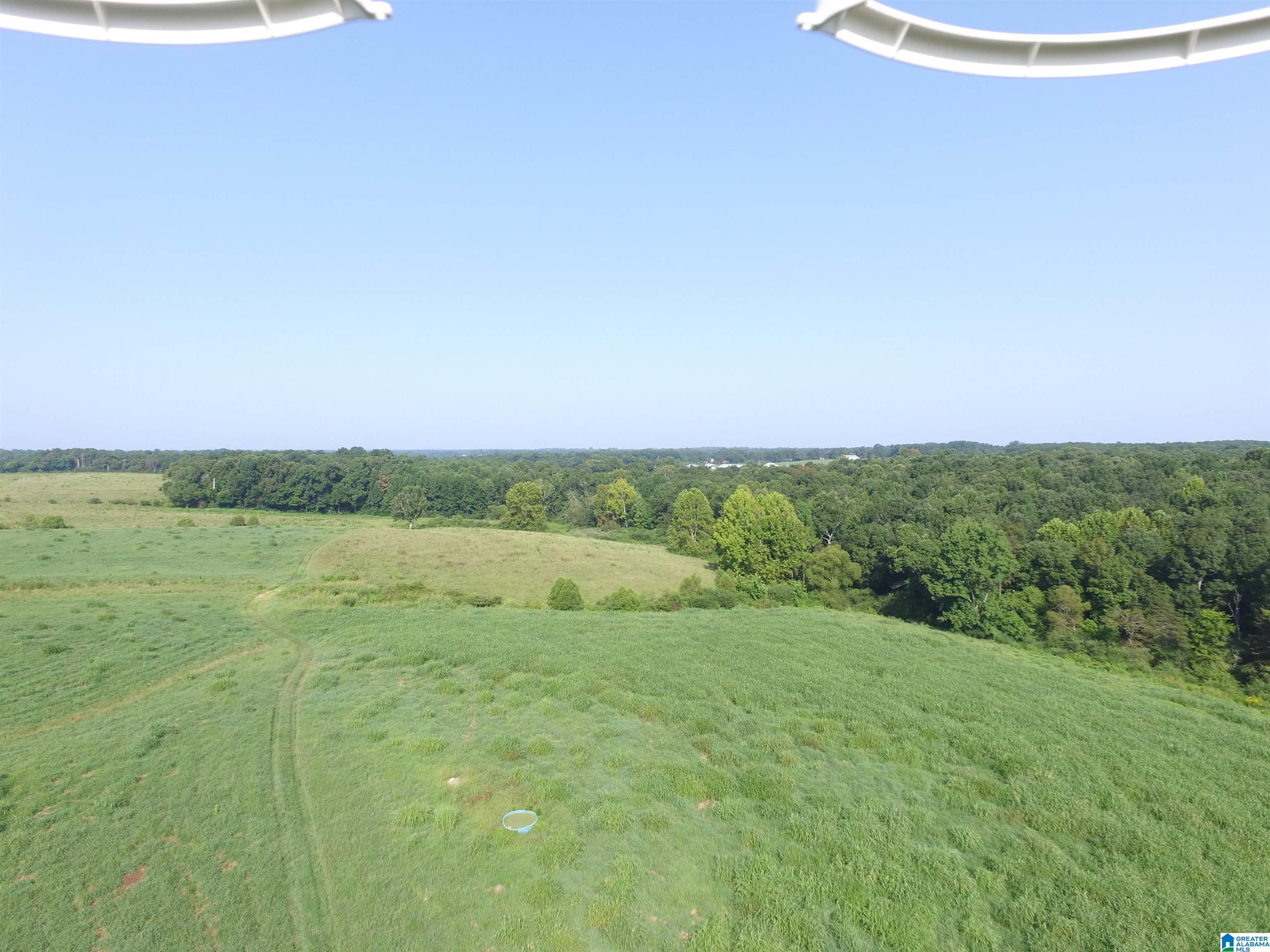 215 COUNTY ROAD 1041
