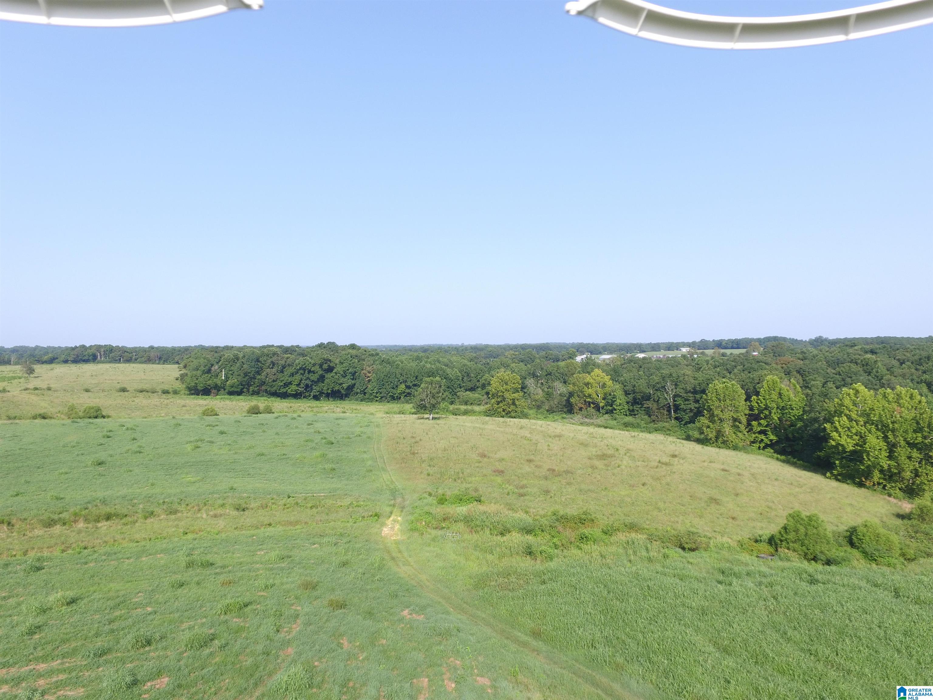 215 COUNTY ROAD 1041