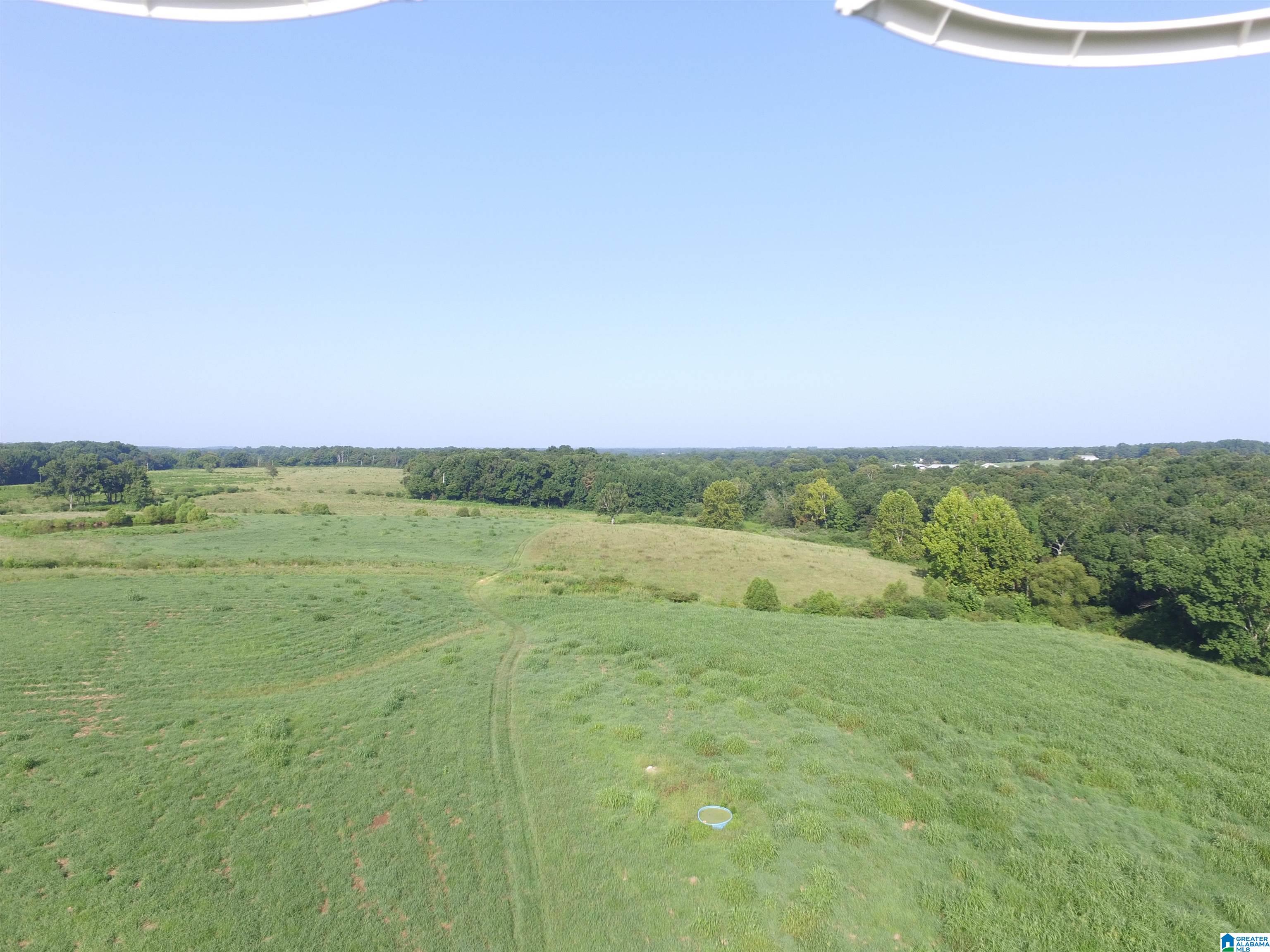 215 COUNTY ROAD 1041