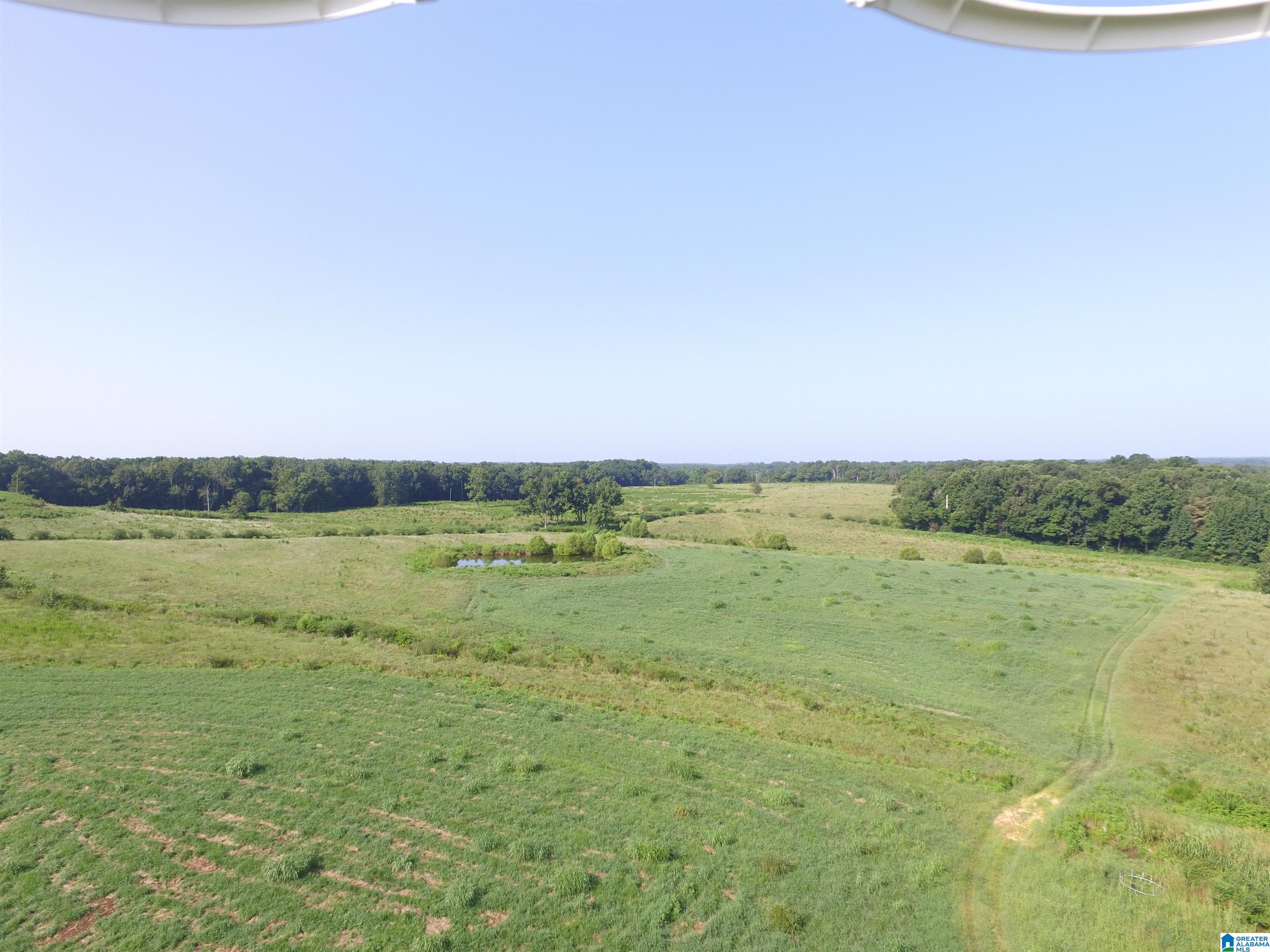 215 COUNTY ROAD 1041