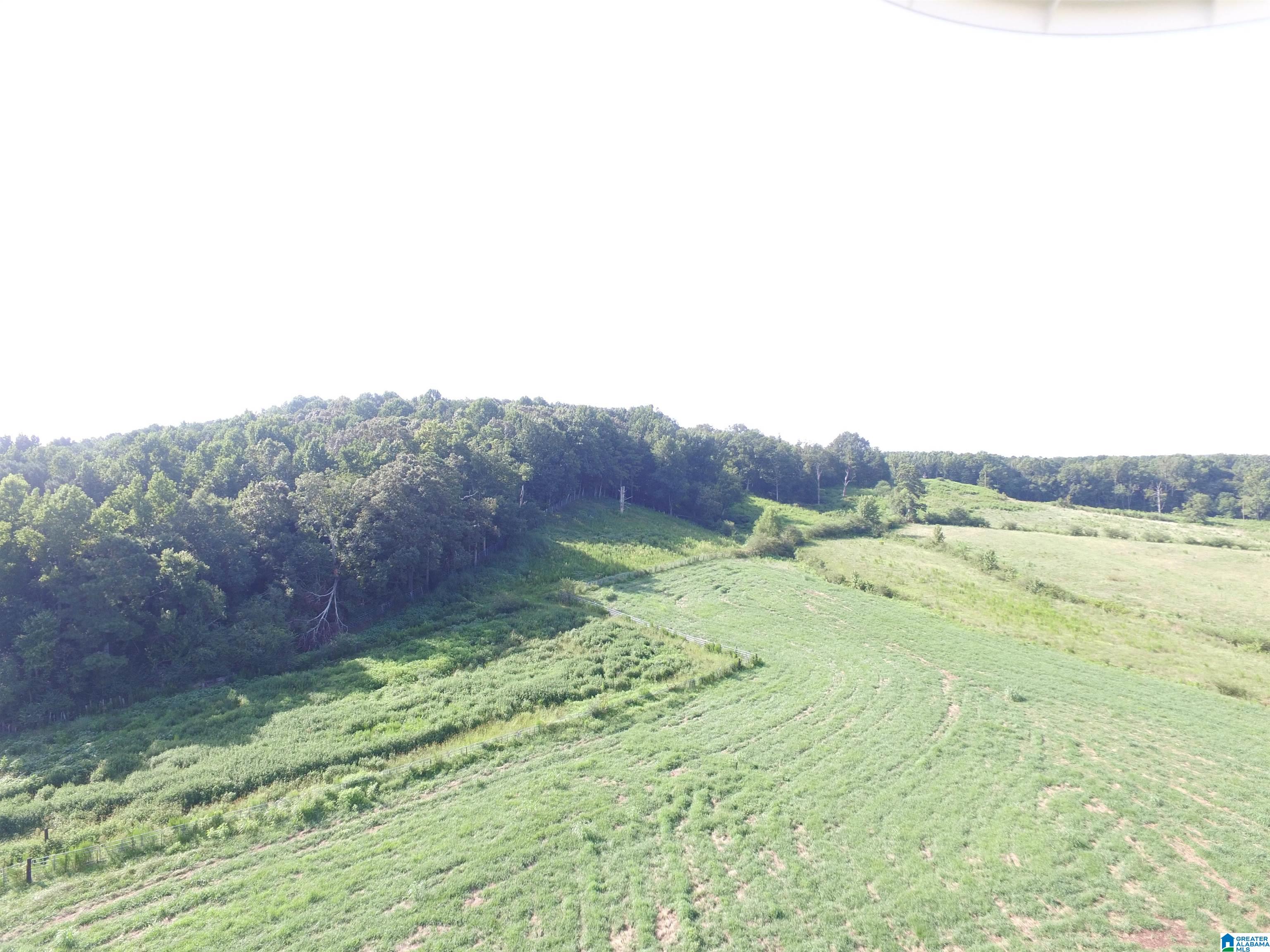 215 COUNTY ROAD 1041