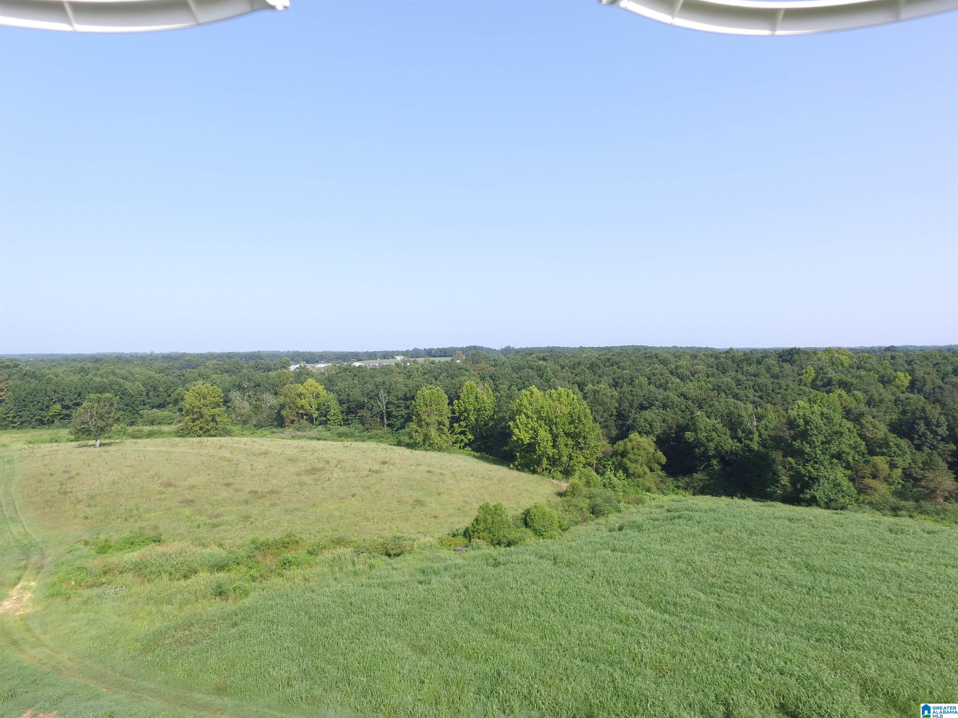 215 COUNTY ROAD 1041