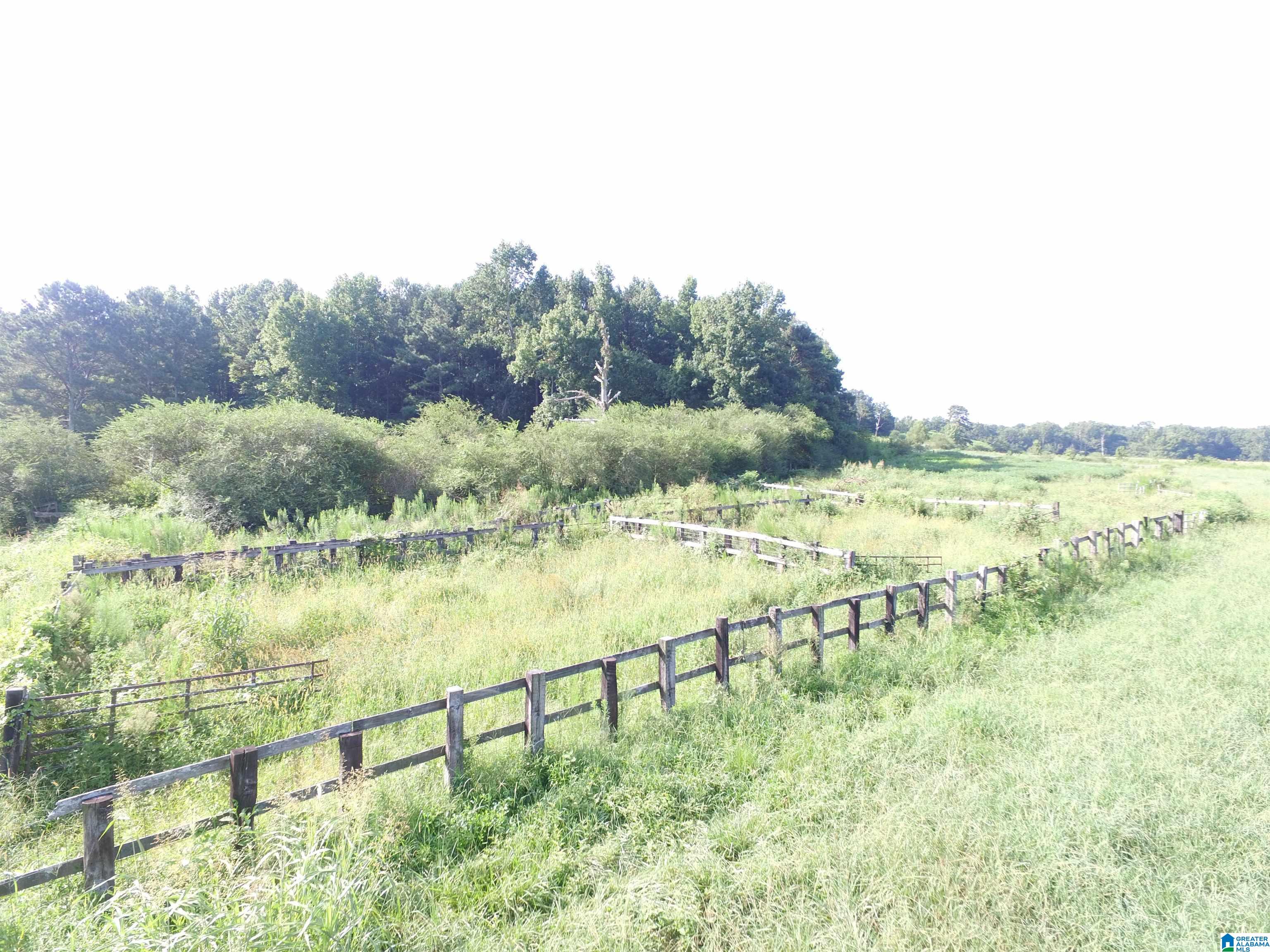 215 COUNTY ROAD 1041
