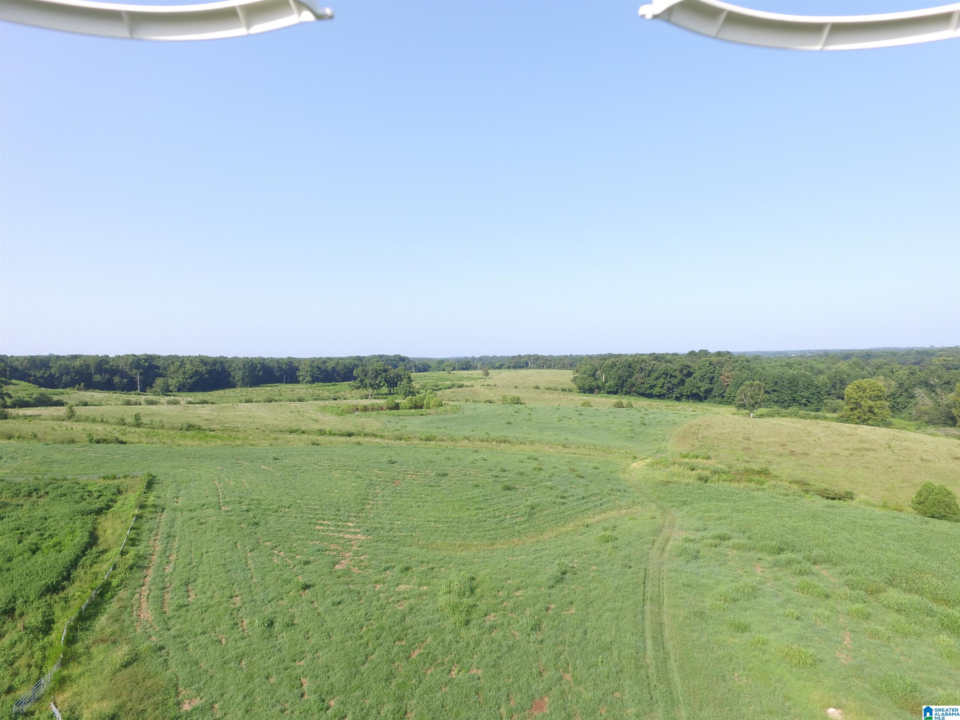 215 COUNTY ROAD 1041