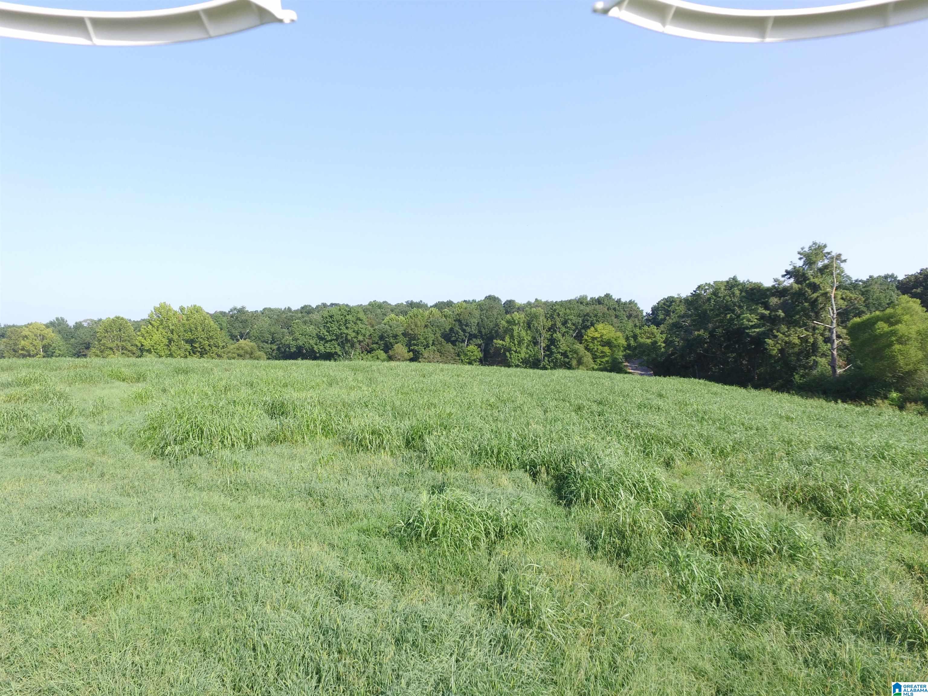 215 COUNTY ROAD 1041