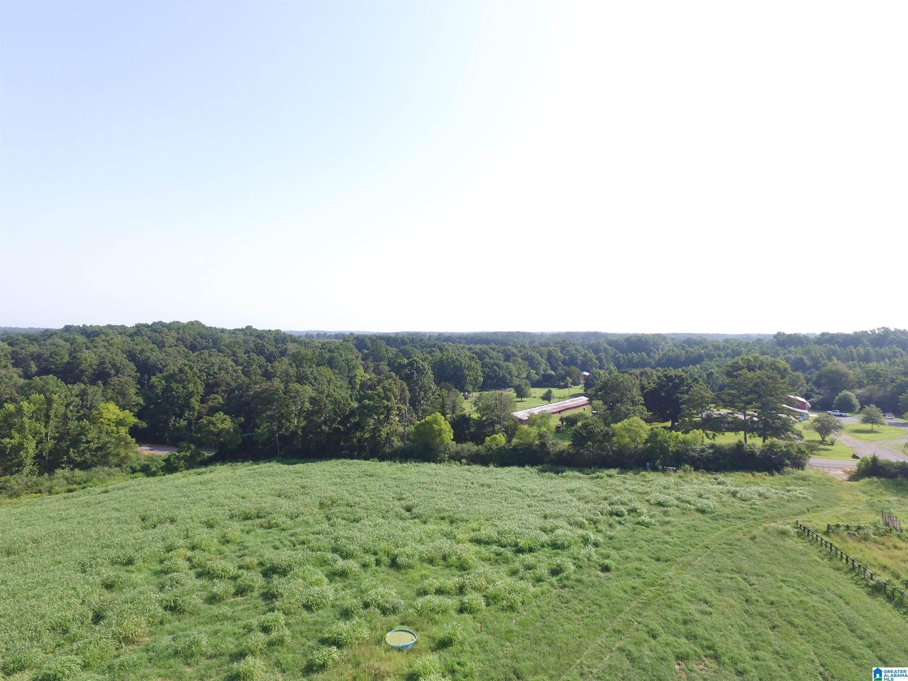 215 COUNTY ROAD 1041