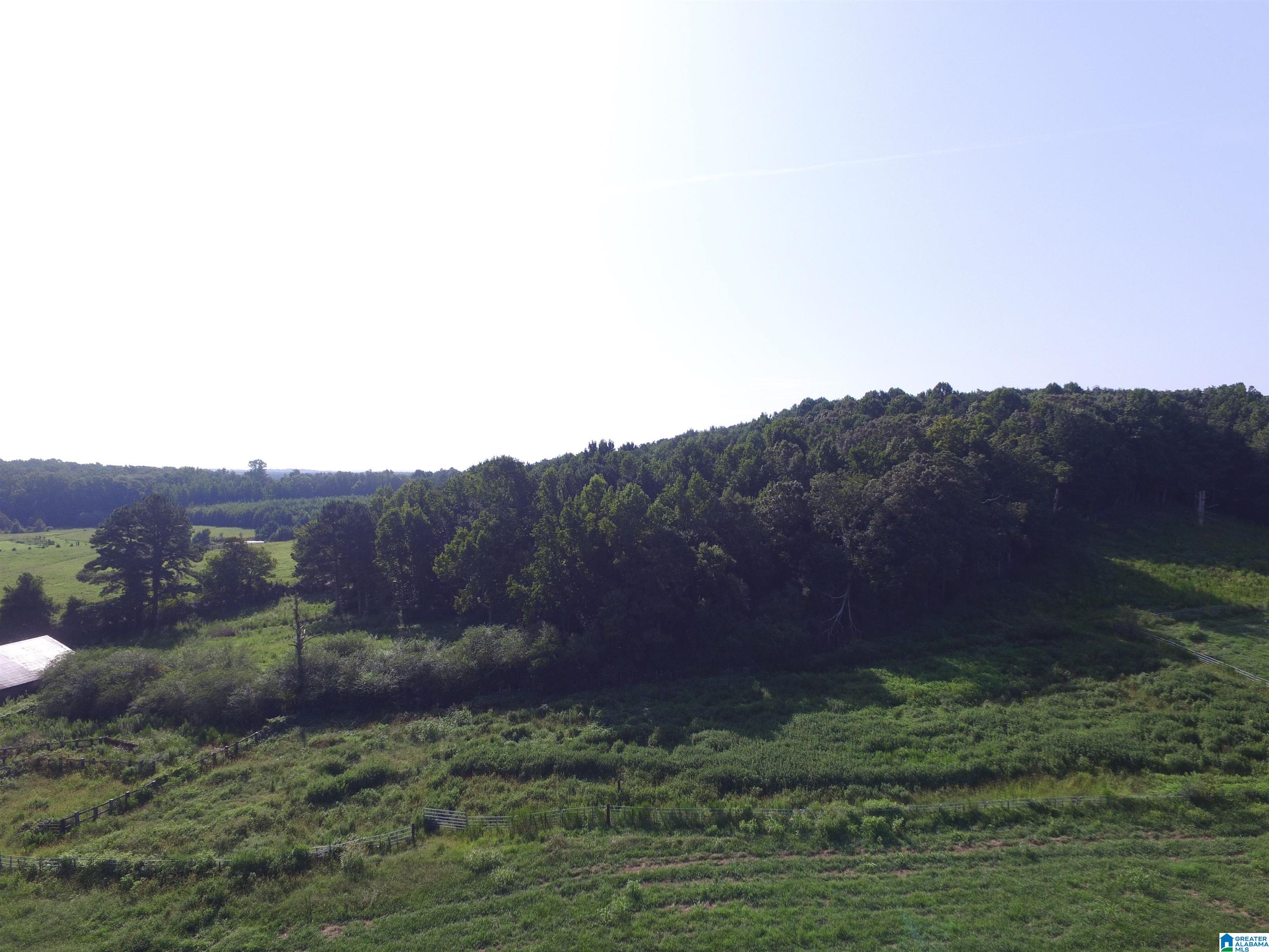 215 COUNTY ROAD 1041