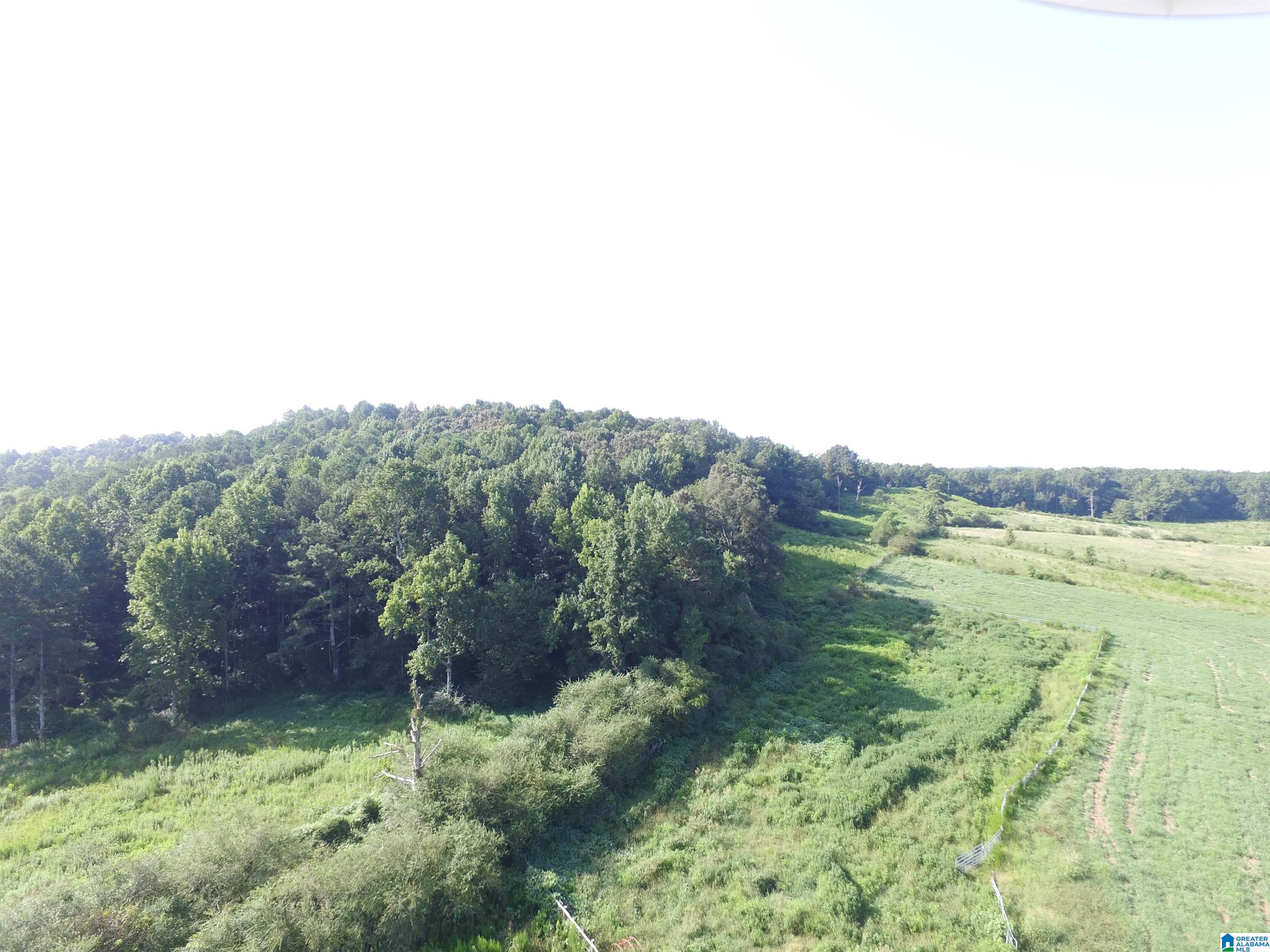 215 COUNTY ROAD 1041