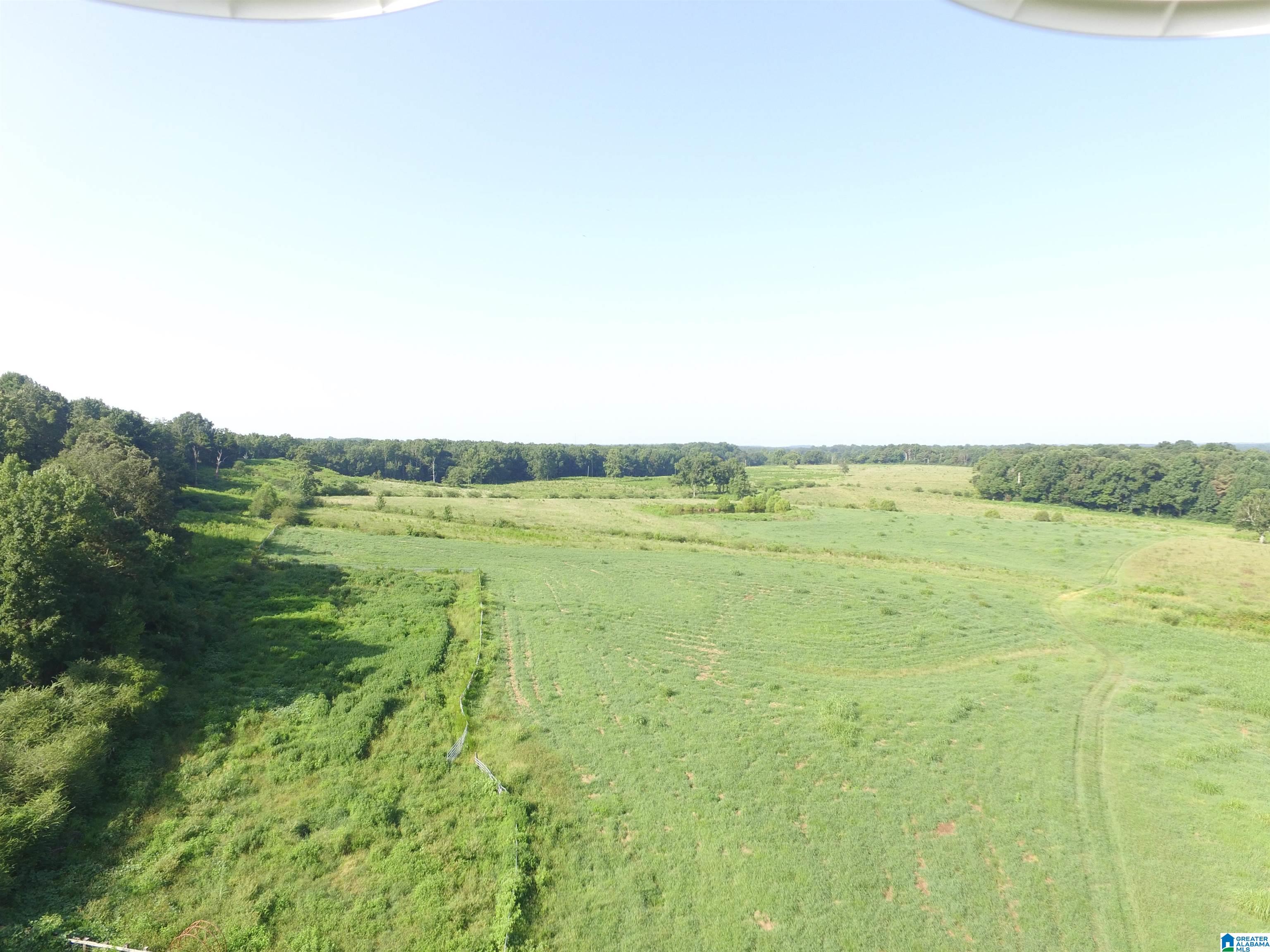 215 COUNTY ROAD 1041