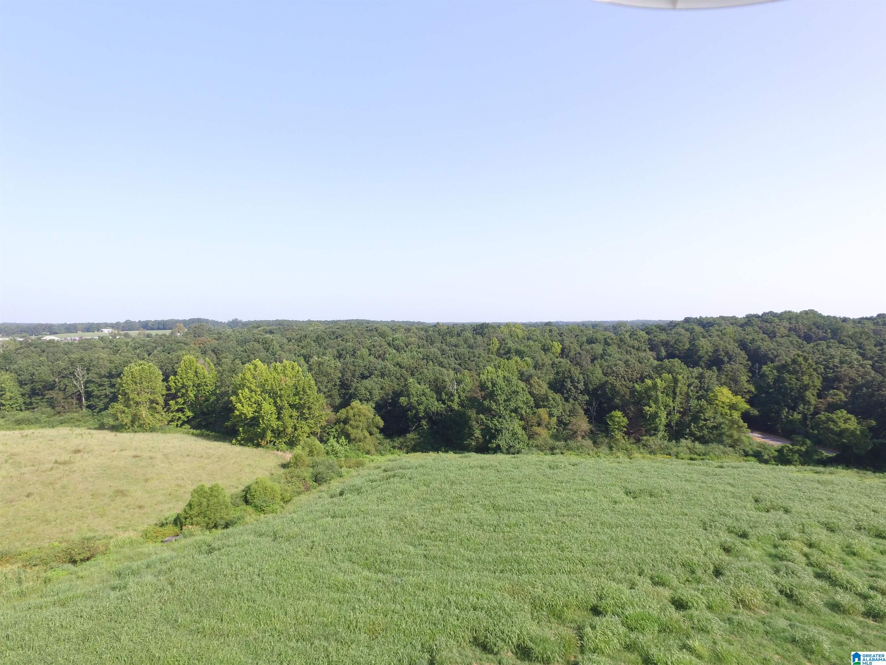215 COUNTY ROAD 1041